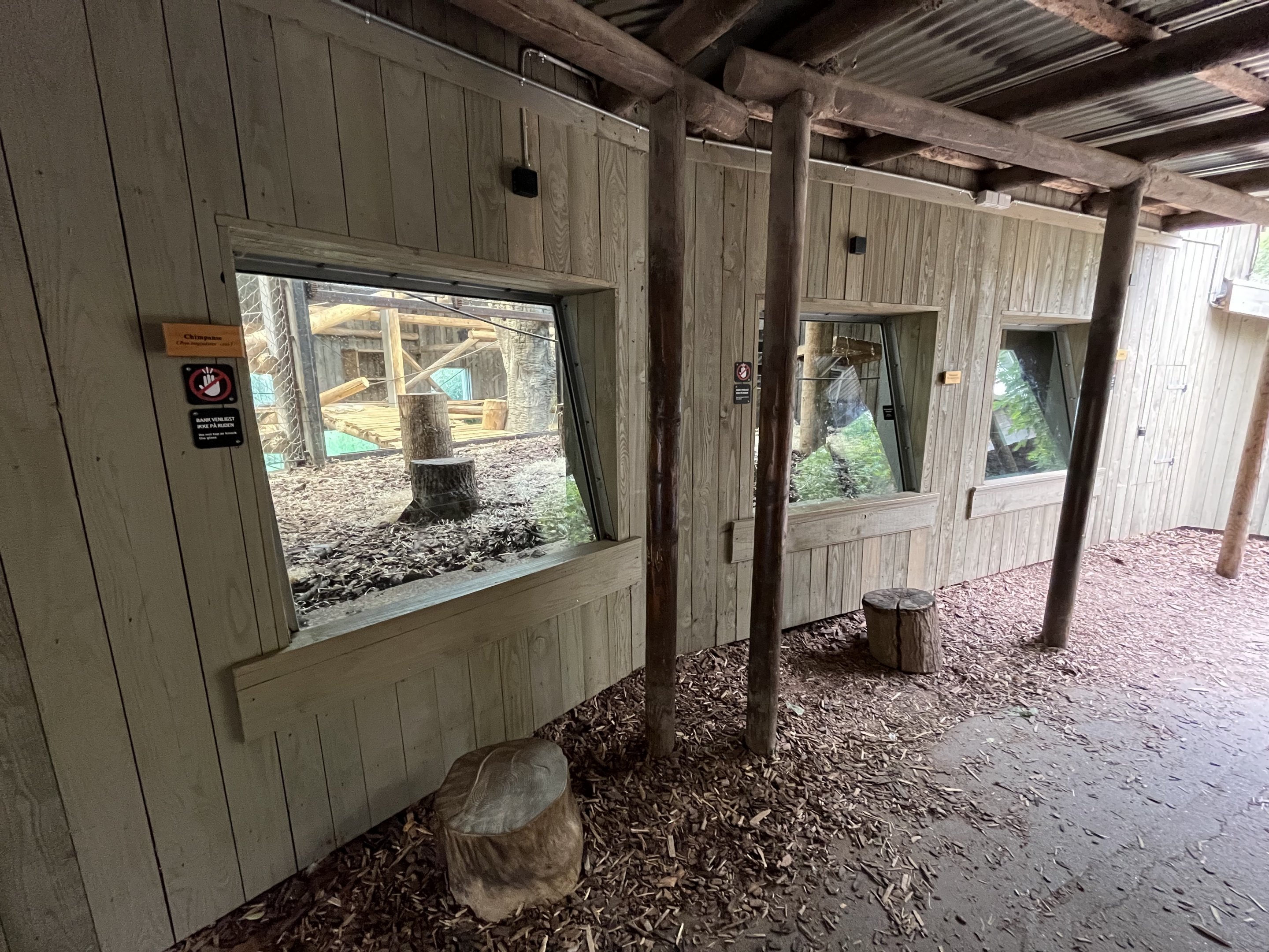 Chimpanzee Exhibit - indoor viewing