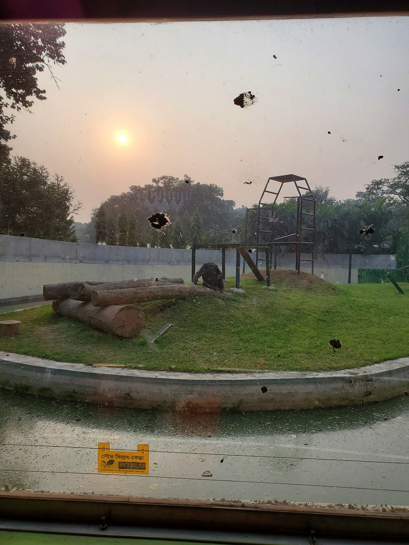 Chimpanzee Exhibit - January 2023