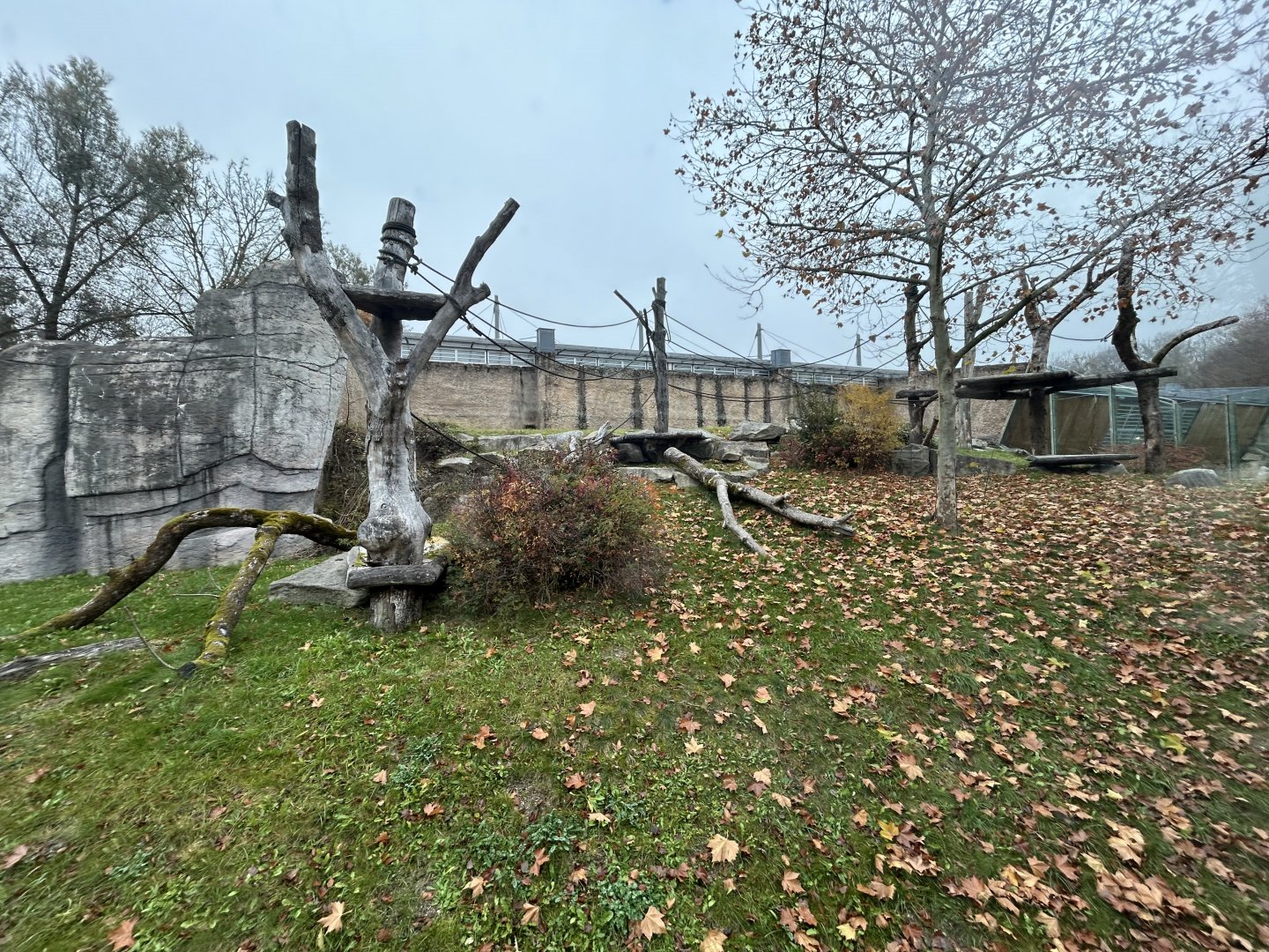 Chimpanzee Exhibit - Jungle House