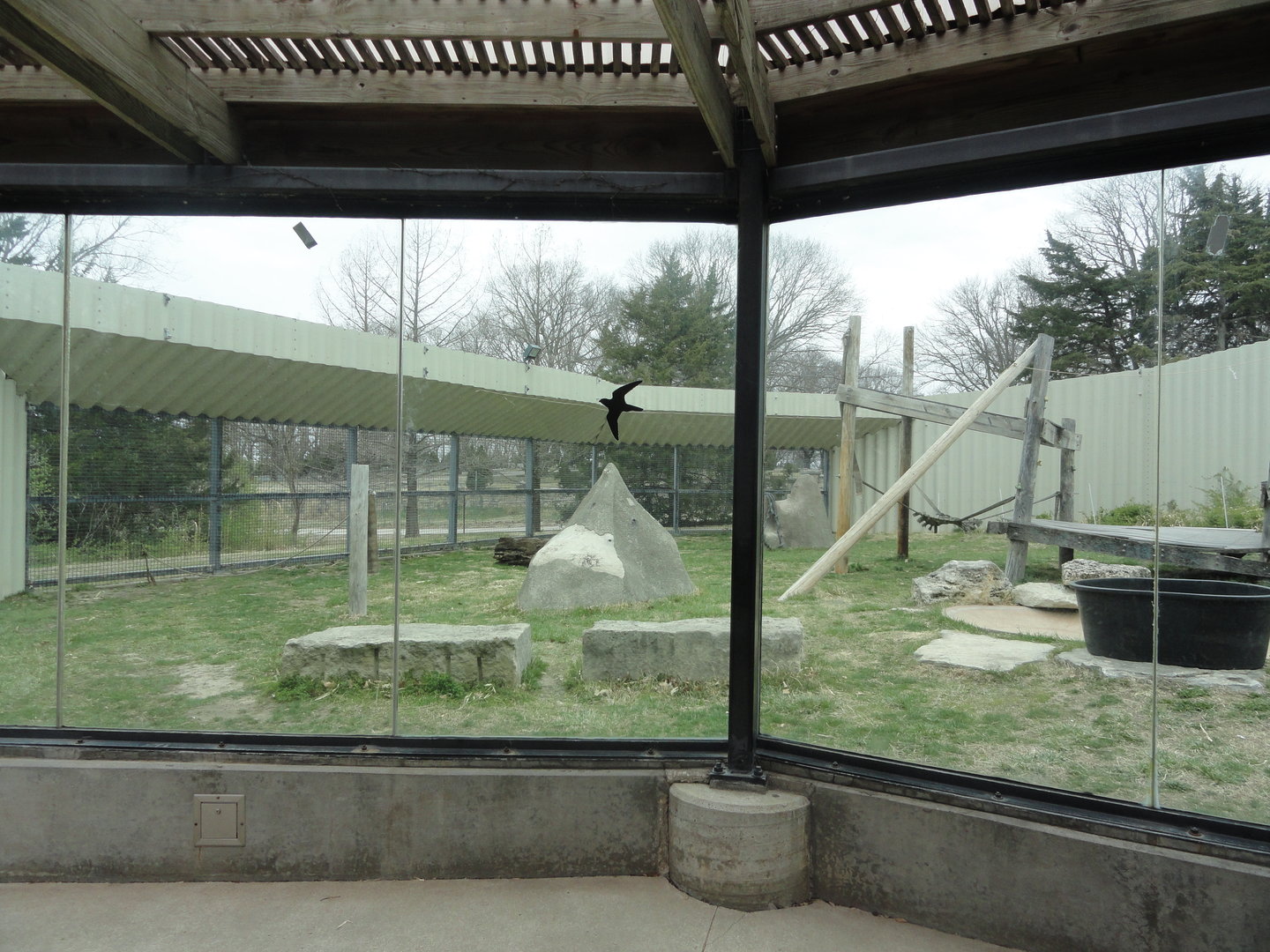 Chimpanzee Exhibit Left Side