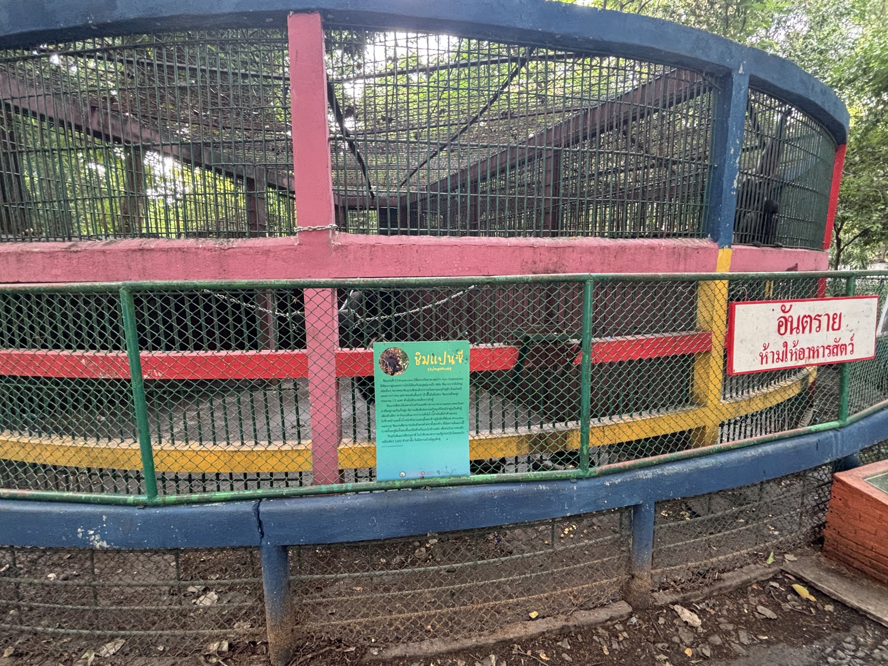 Chimpanzee Exhibit - Lopburi Zoo