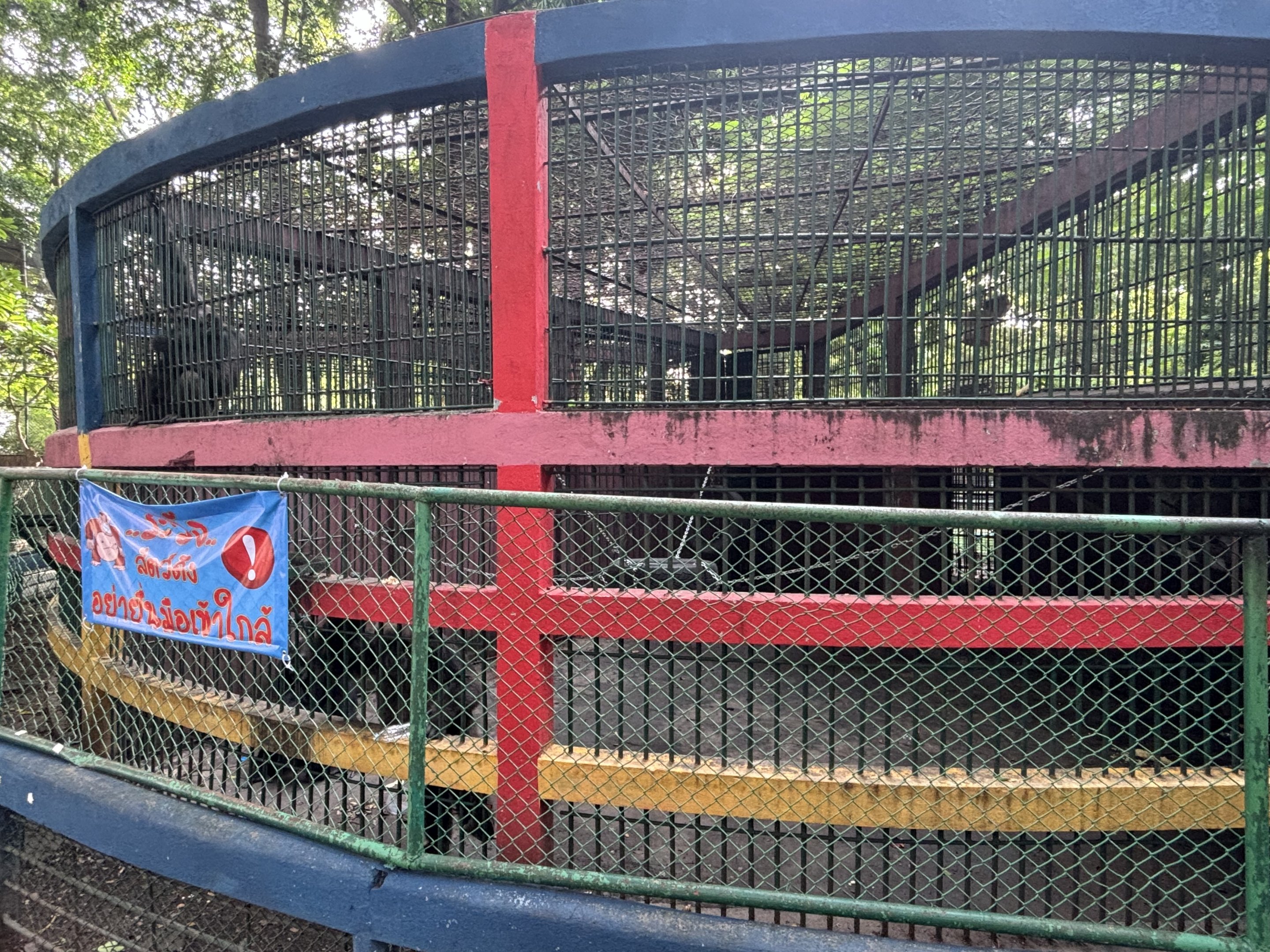 Chimpanzee Exhibit - Lopburi Zoo