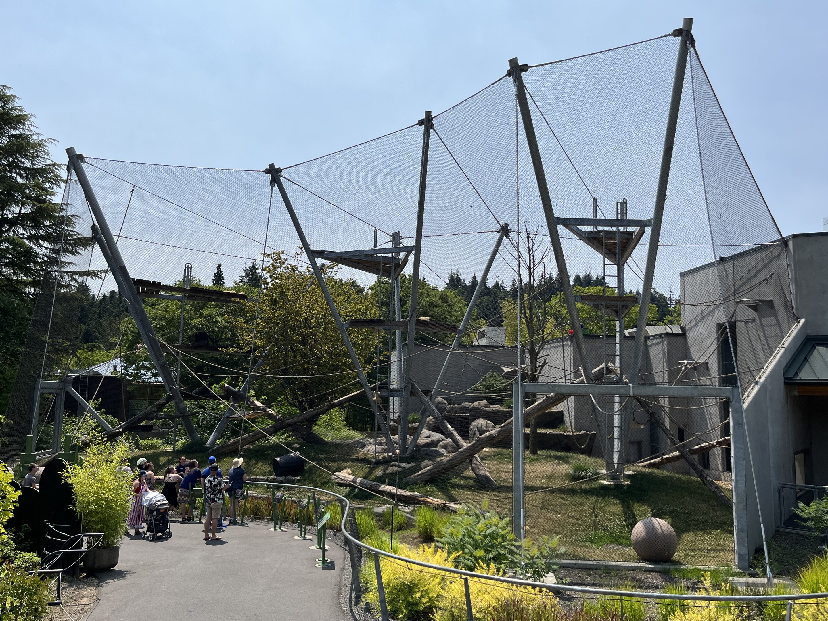 Chimpanzee Exhibit - New in 2021