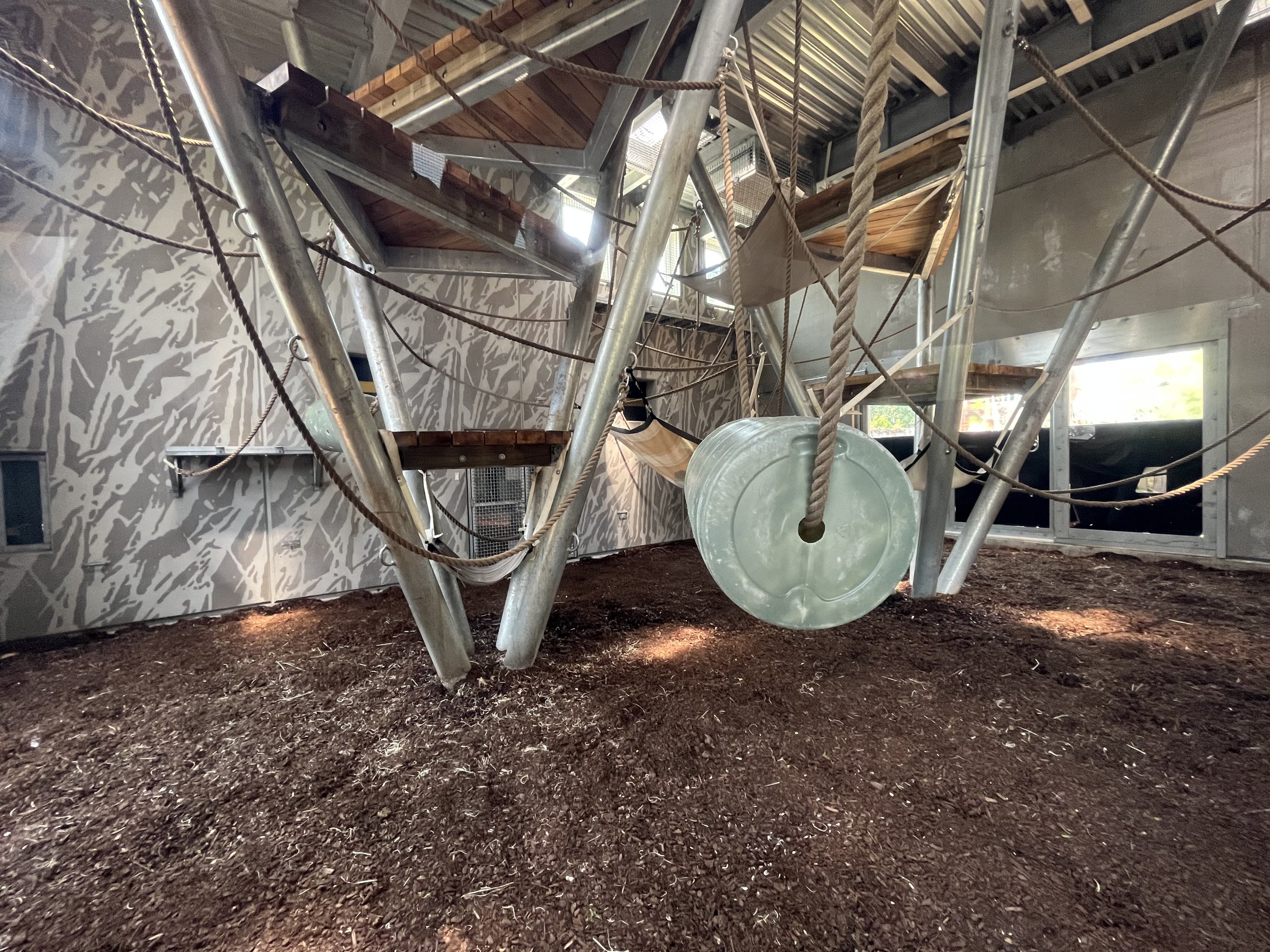 Chimpanzee Exhibit - New in 2021