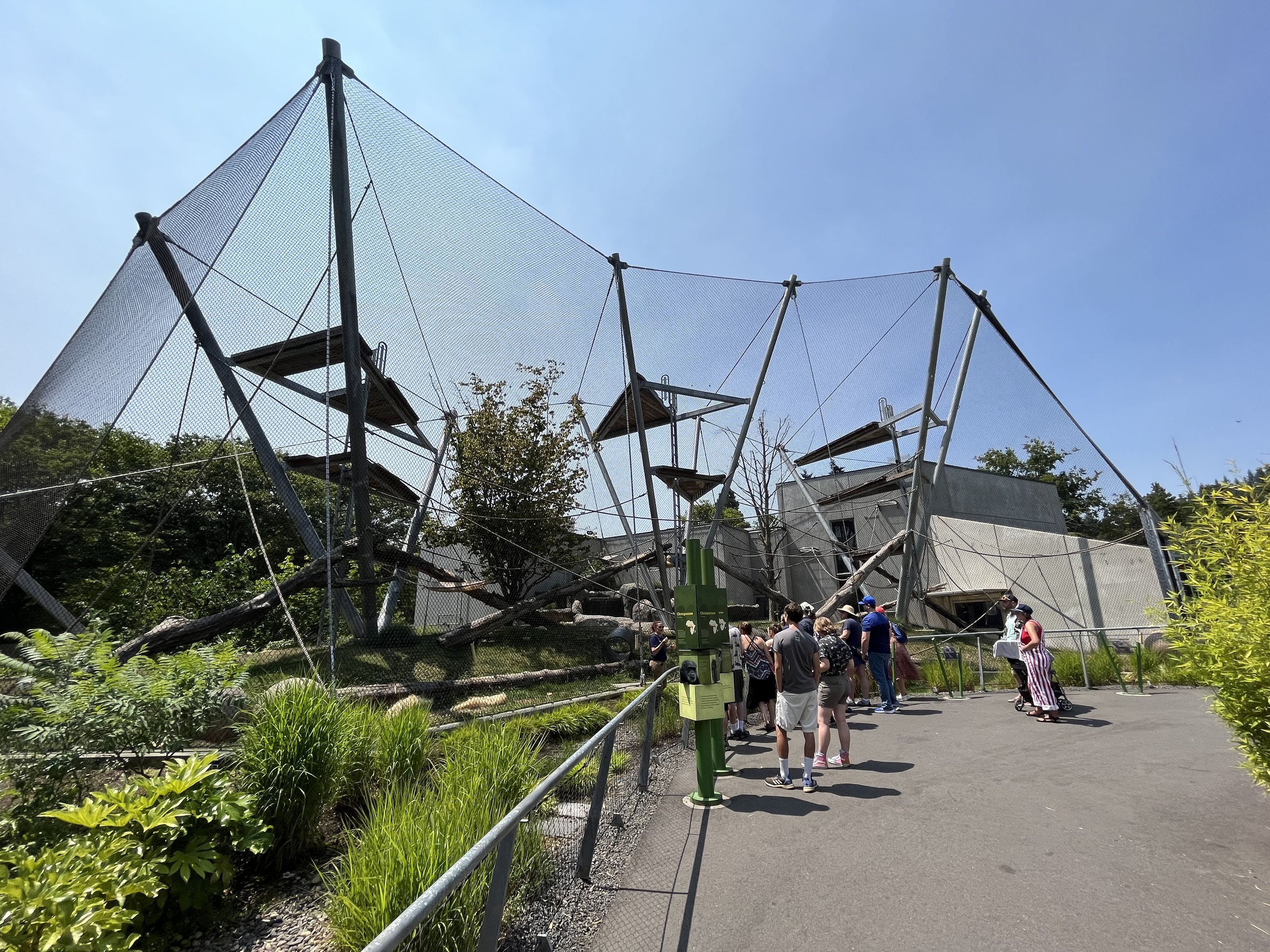 Chimpanzee Exhibit - New in 2021