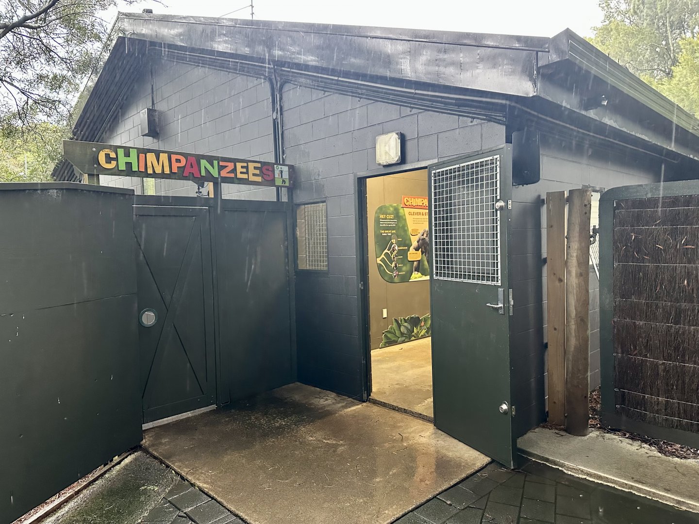 Chimpanzee Exhibit (Night House)