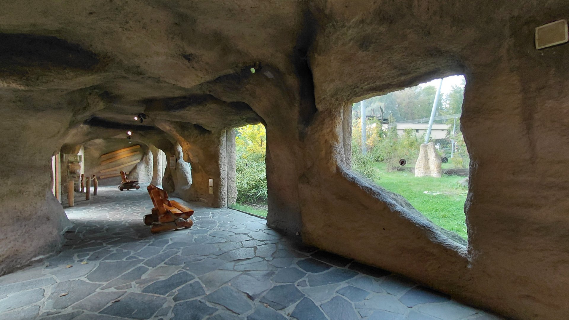 Chimpanzee exhibit - outdoor viewing area