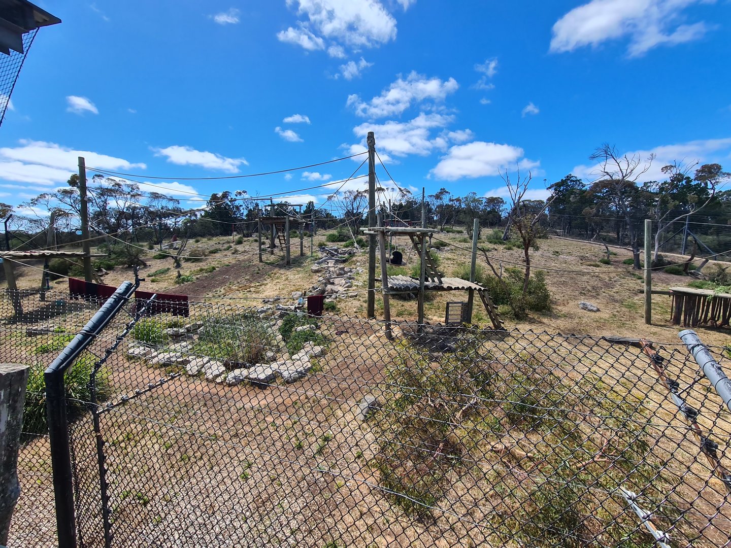 Chimpanzee Exhibit Outdoors