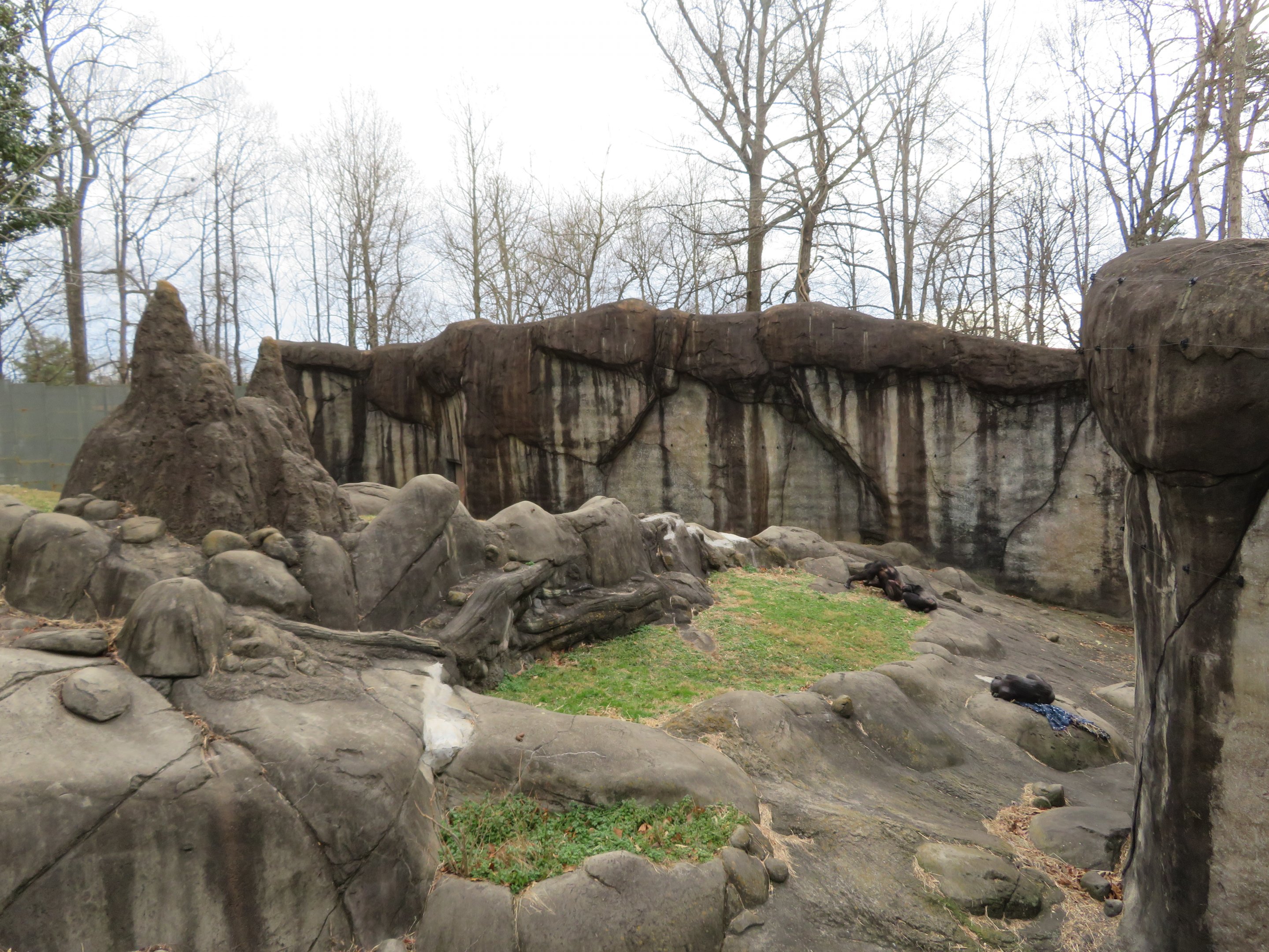 Chimpanzee Exhibit (Part)