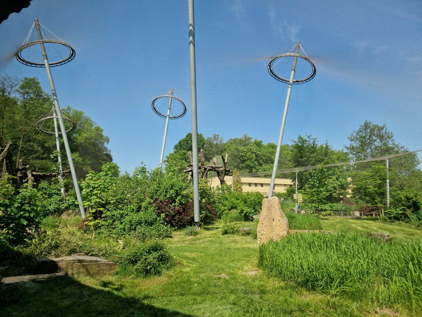 Chimpanzee exhibit/ Pavilion of Evolution