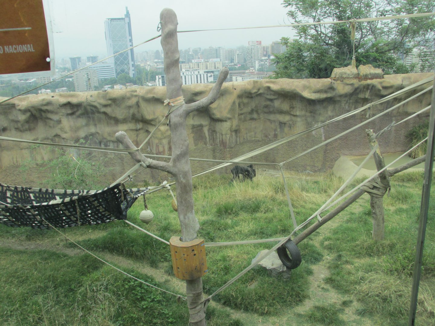 chimpanzee exhibit santiago zoo