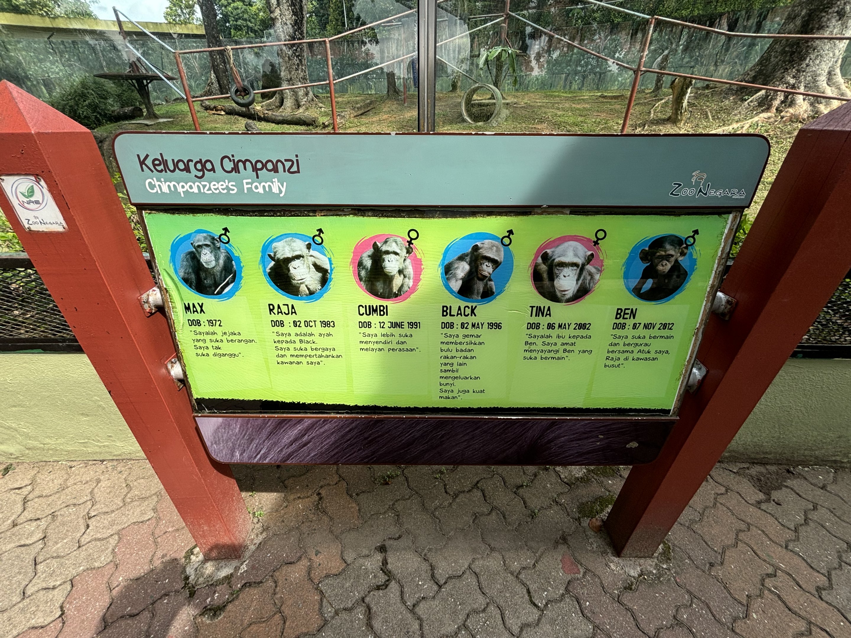 Chimpanzee Exhibit Sign