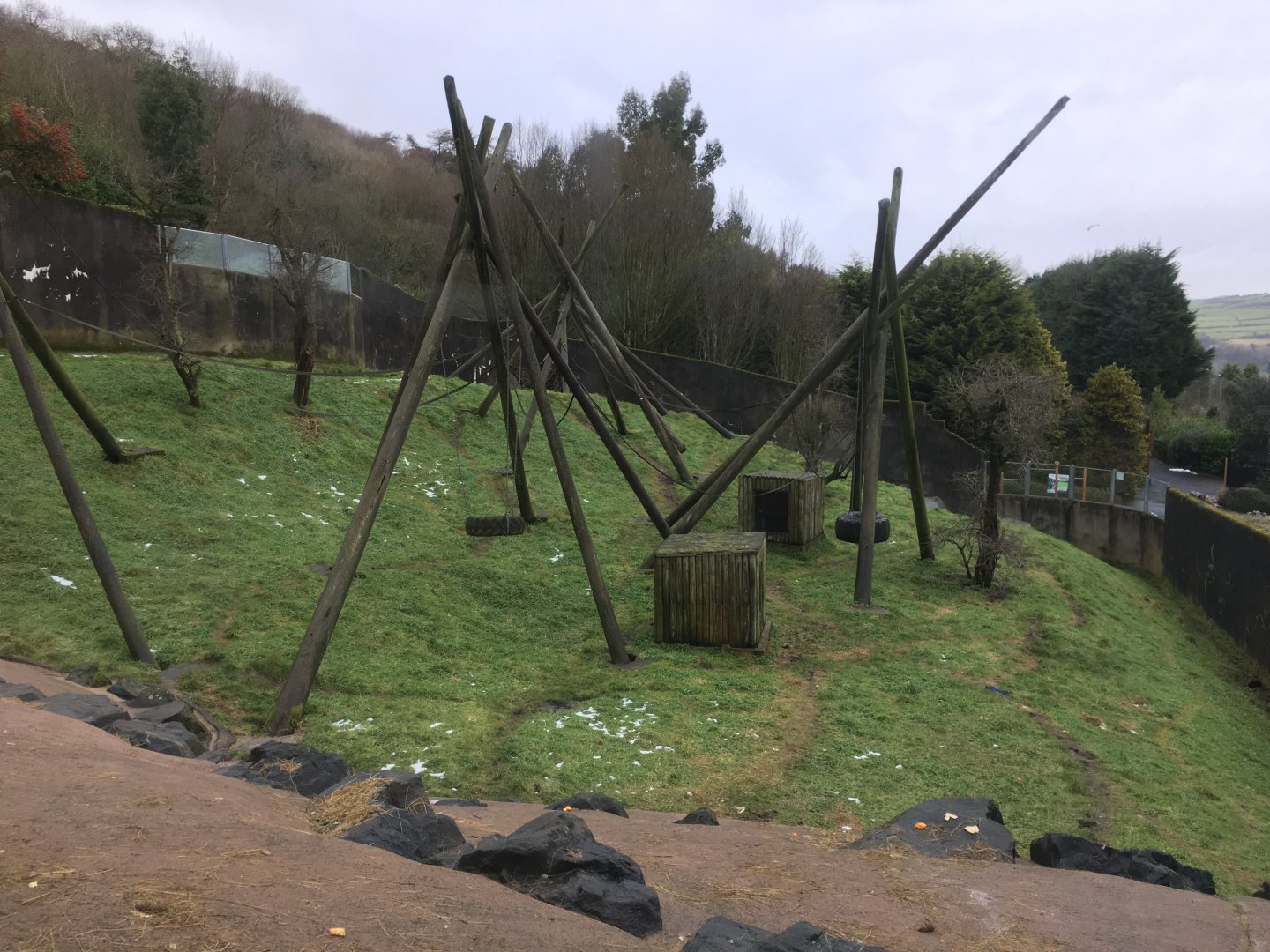 Chimpanzee Exhibit (viewed from the Ape house)