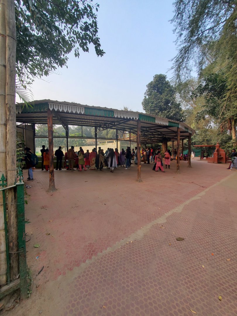 Chimpanzee Exhibit Viewing Area - January 2023