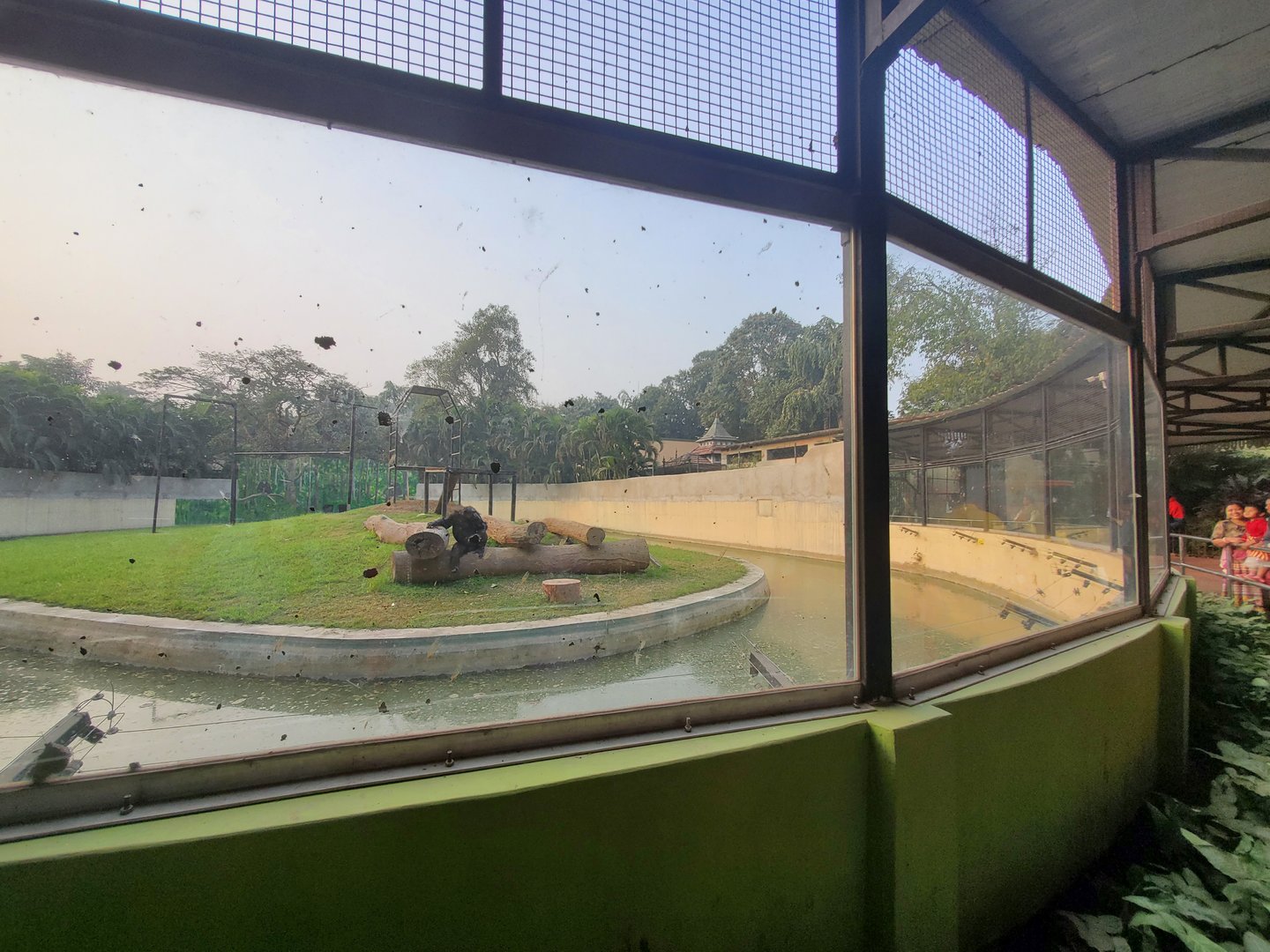 Chimpanzee Exhibit Viewing Area - January 2023