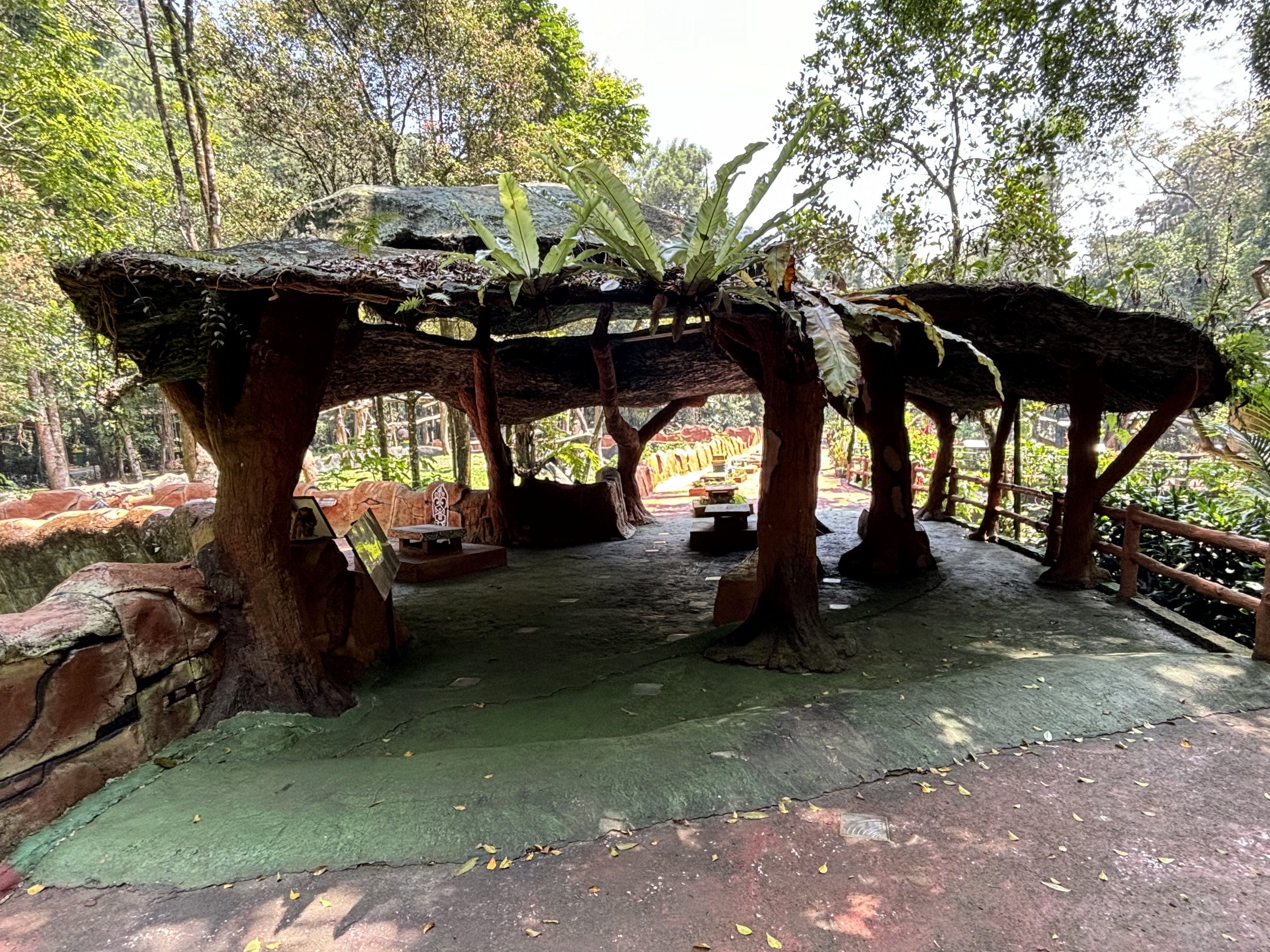 Chimpanzee Exhibit - Viewing Area
