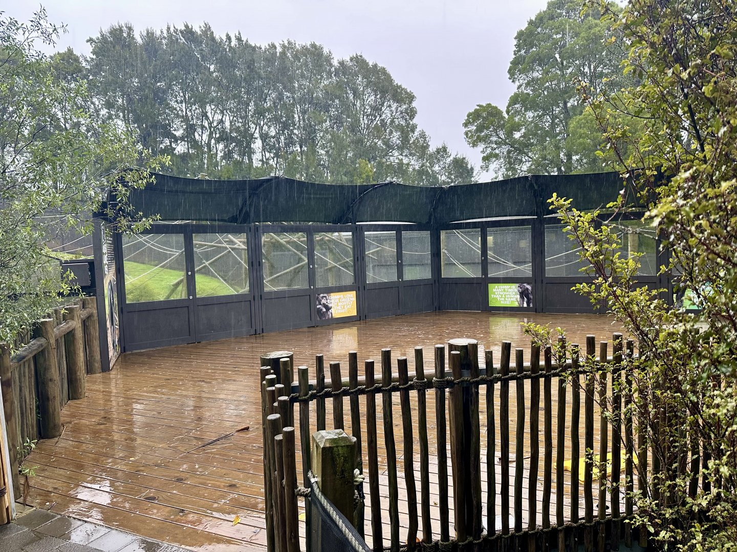 Chimpanzee Exhibit (Viewing Deck)