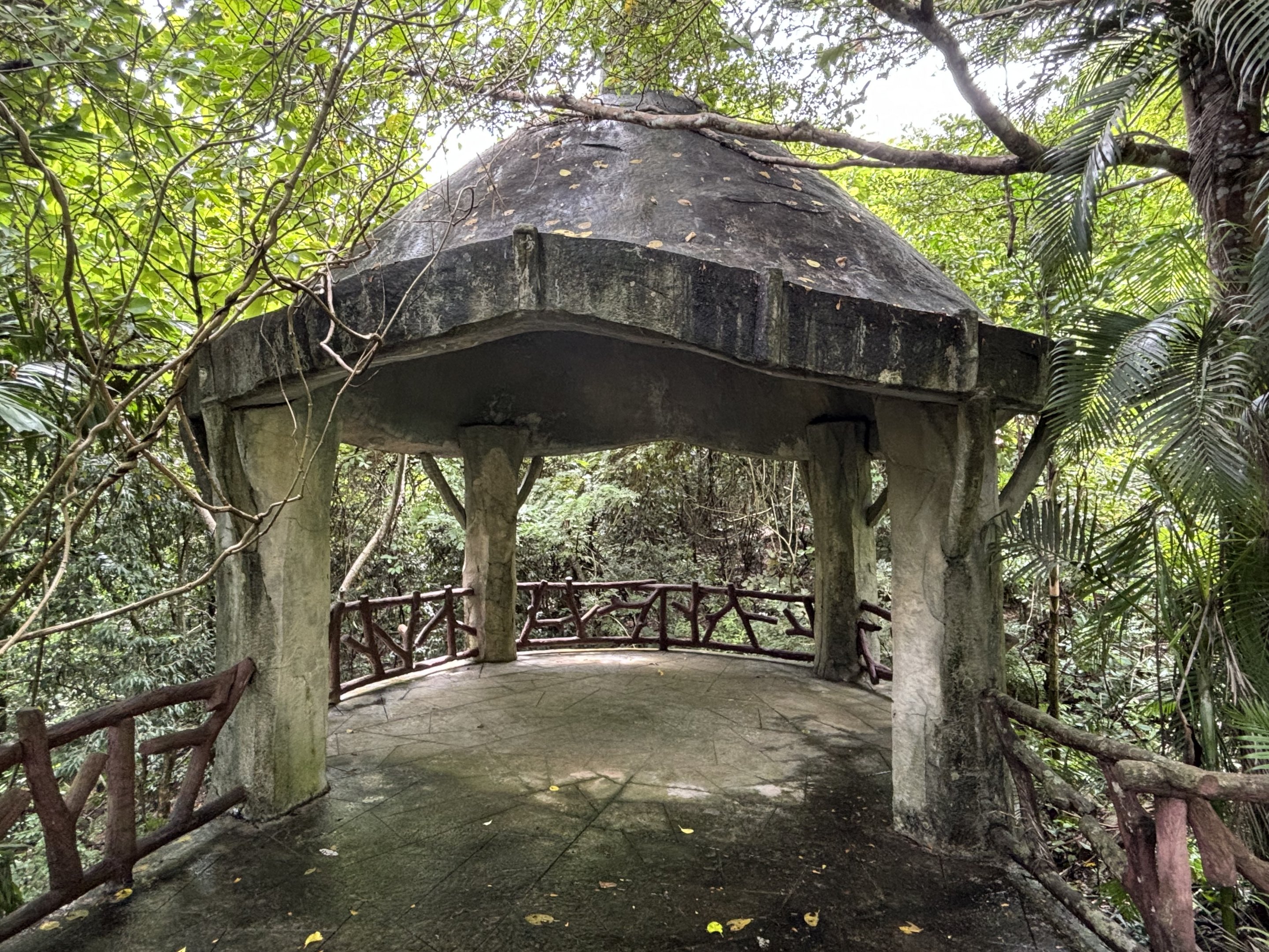 Chimpanzee Exhibit - viewing platform