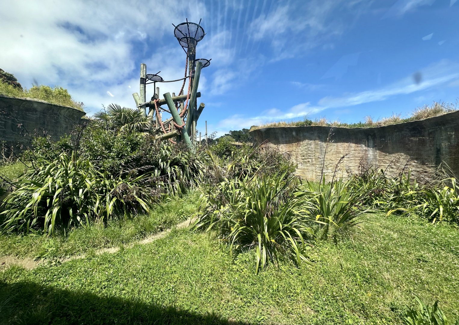 Chimpanzee Exhibit - Viewing Window