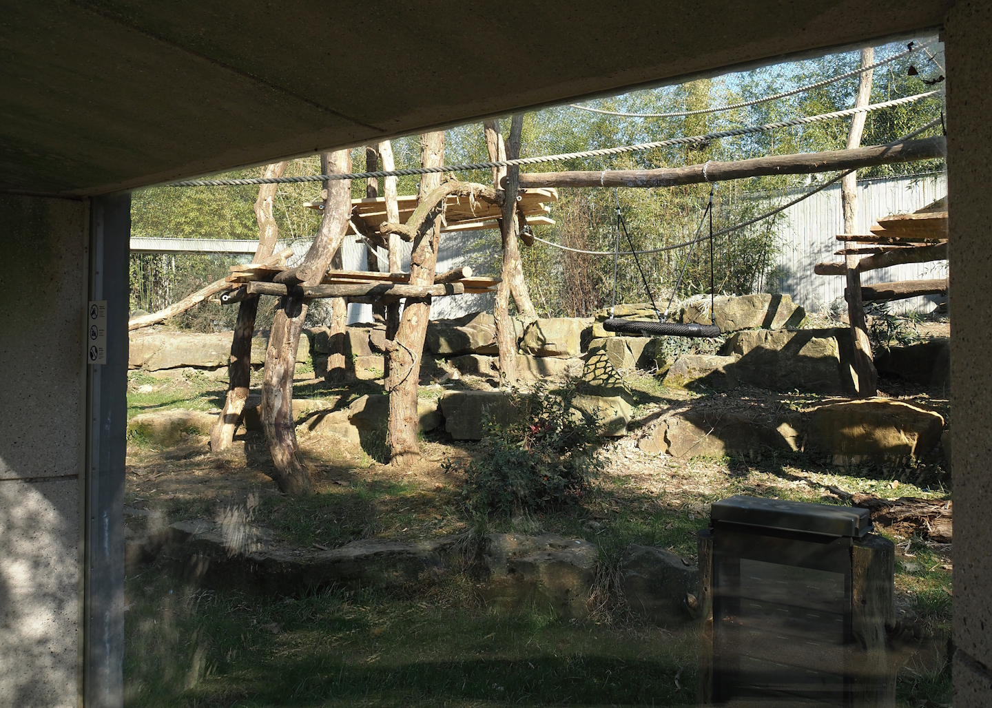 Chimpanzee exhibit with new climbing structures, 2025-03-16