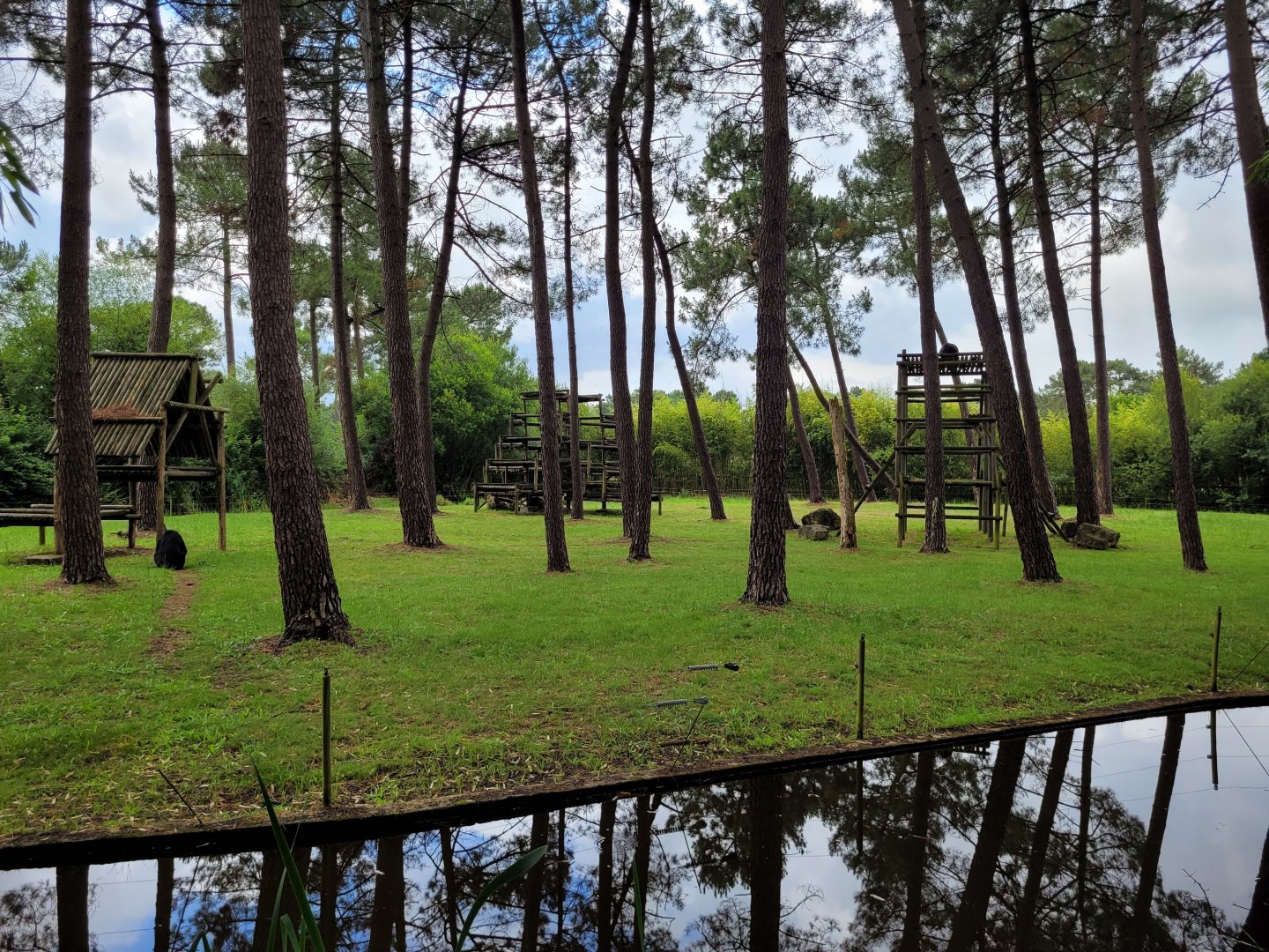 Chimpanzee exhibit -Zoo du bassin d'Arcachon (2024)