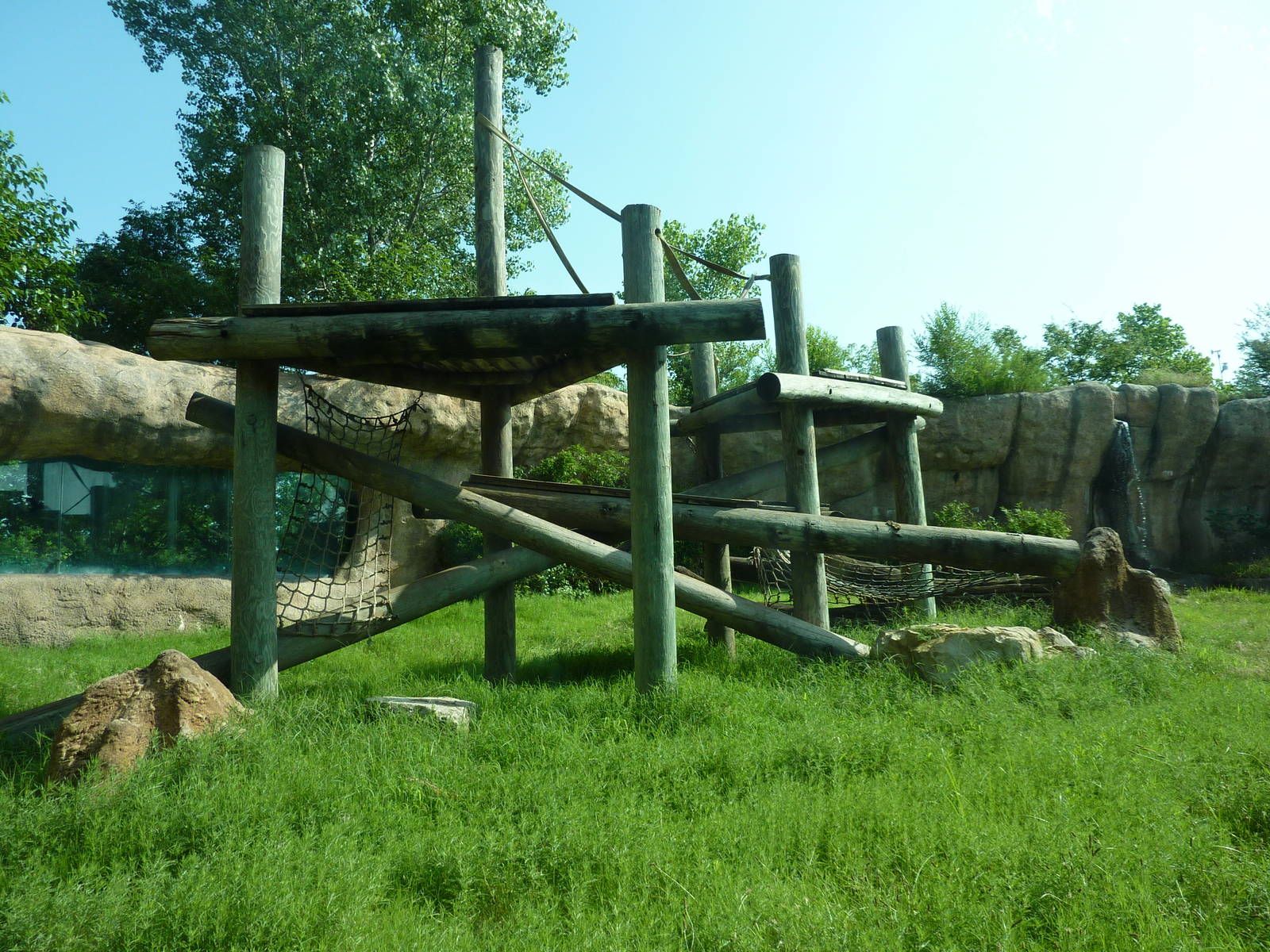 Chimpanzee Exhibit