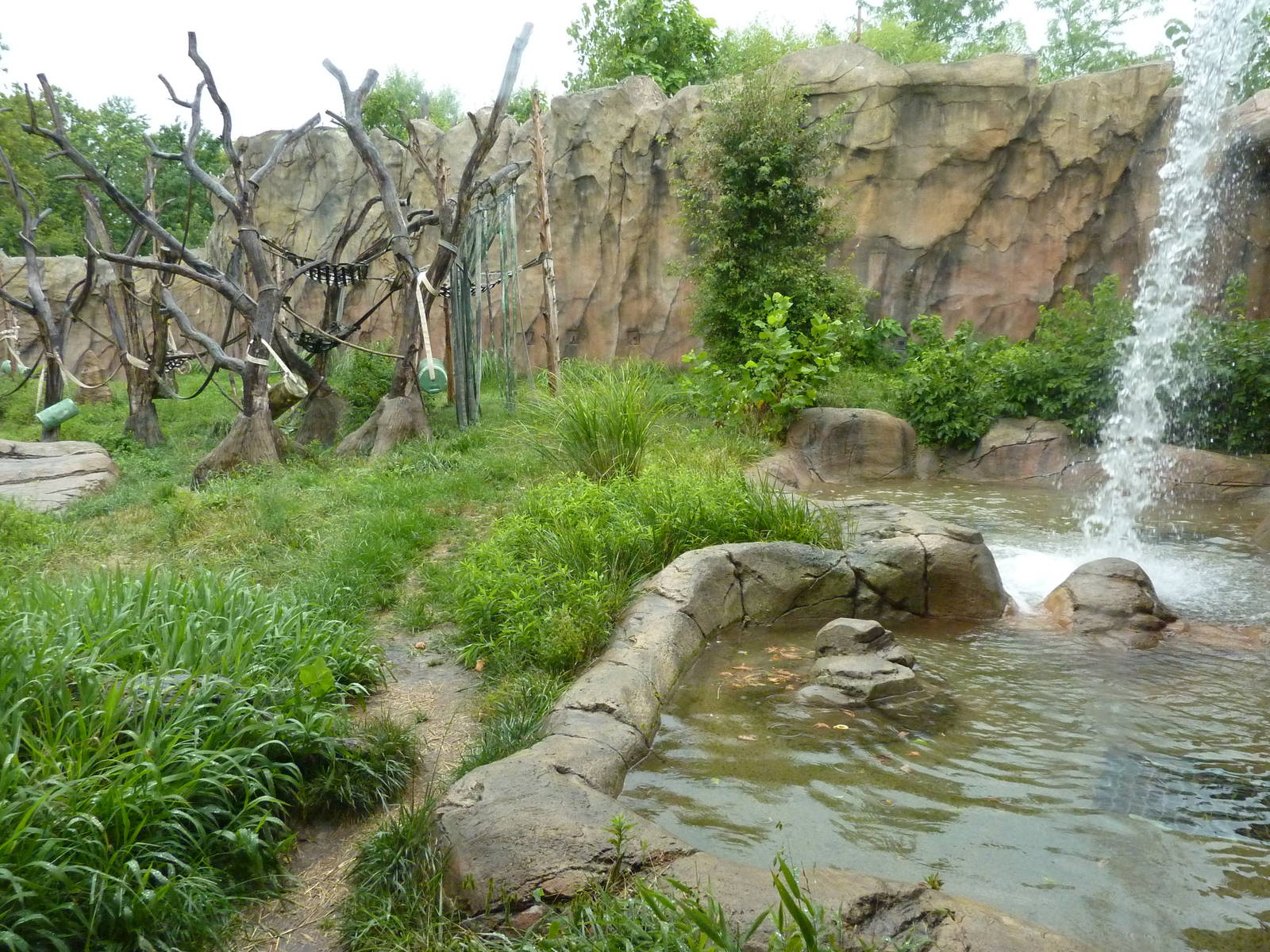 Chimpanzee Exhibit