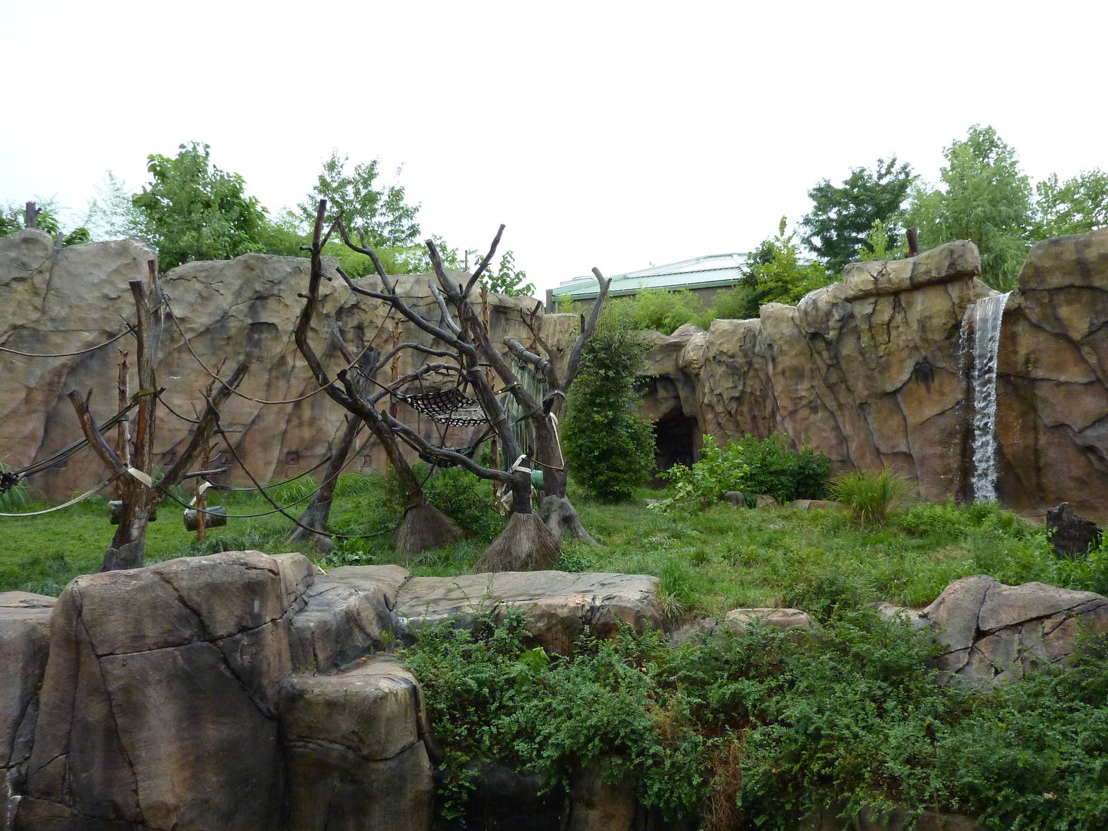 Chimpanzee Exhibit