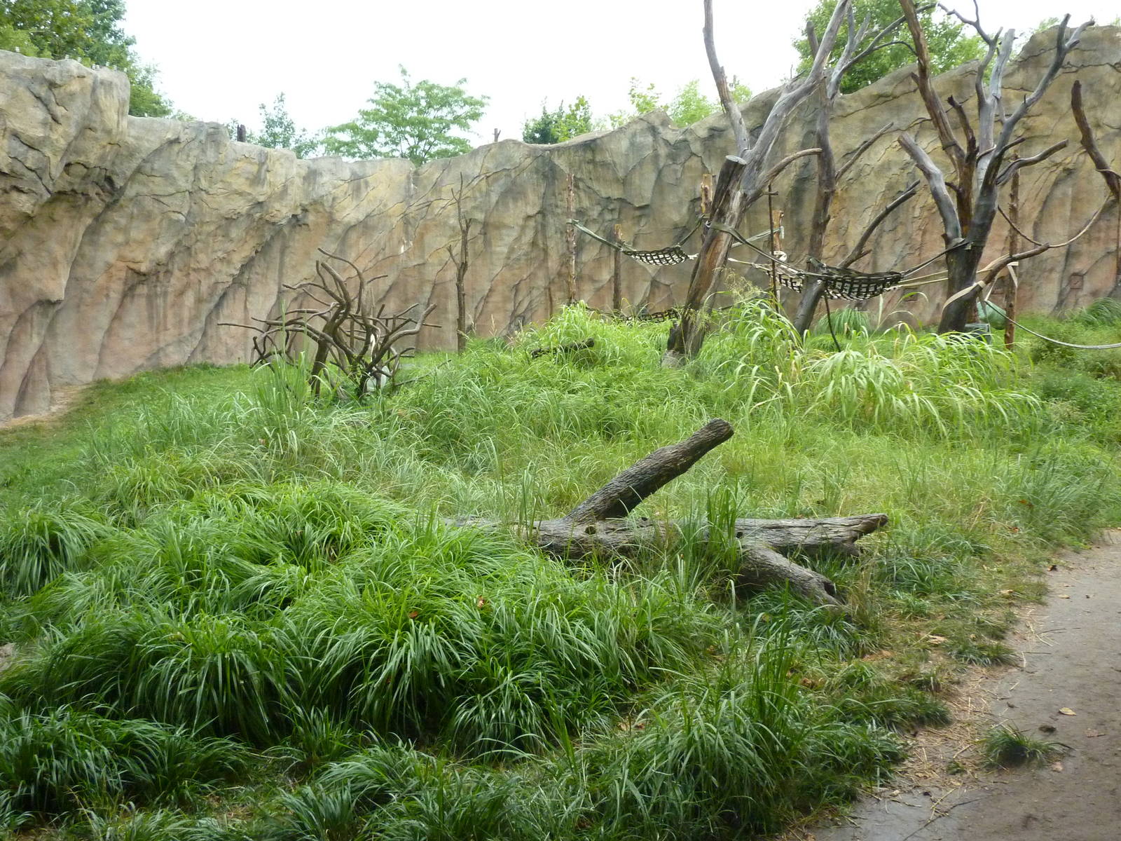 Chimpanzee Exhibit