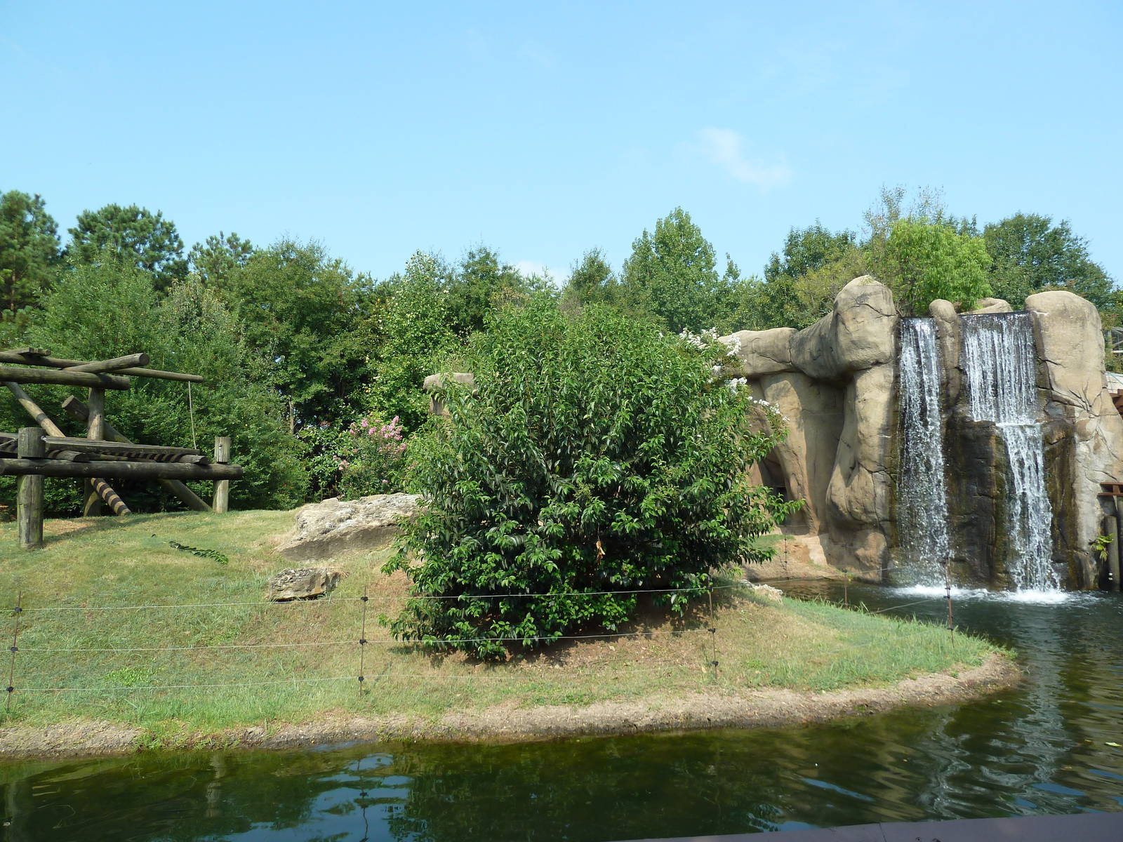 Chimpanzee Exhibit
