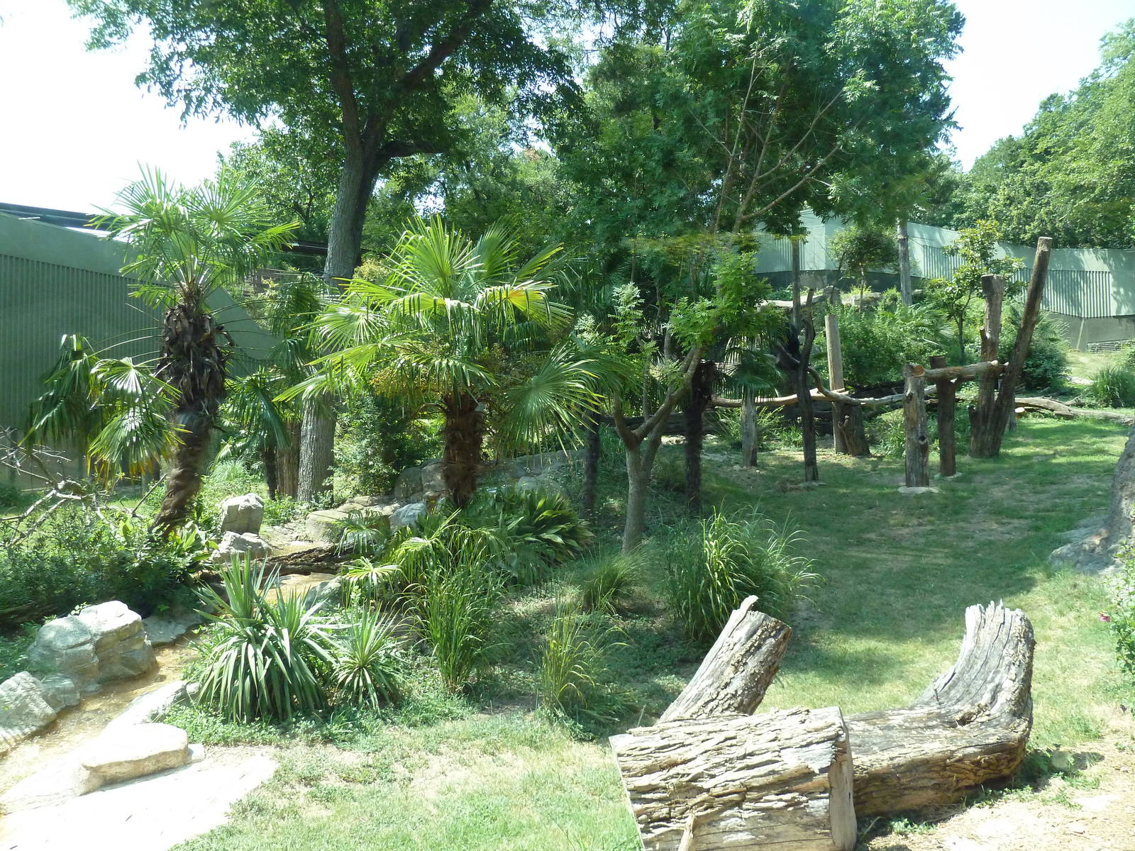 Chimpanzee Exhibit