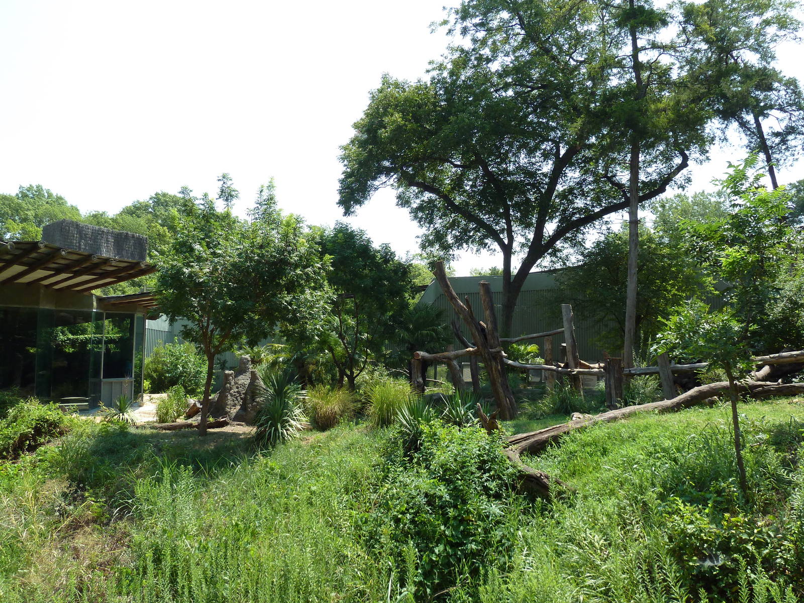 Chimpanzee Exhibit
