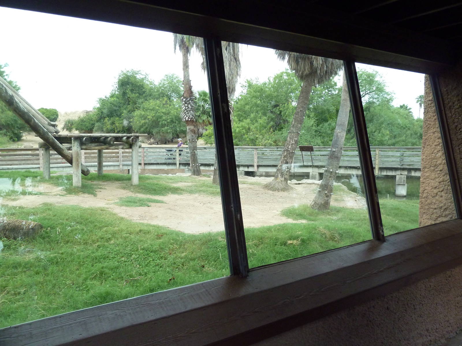 Chimpanzee Exhibit