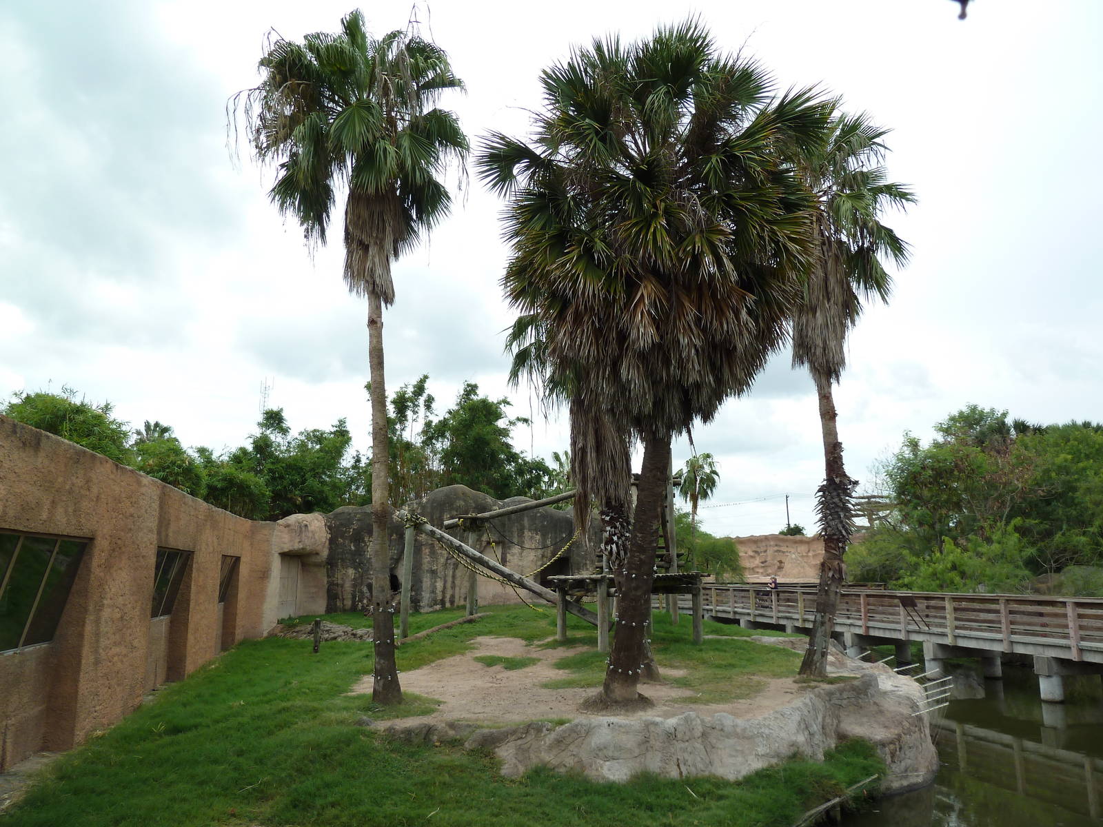 Chimpanzee Exhibit