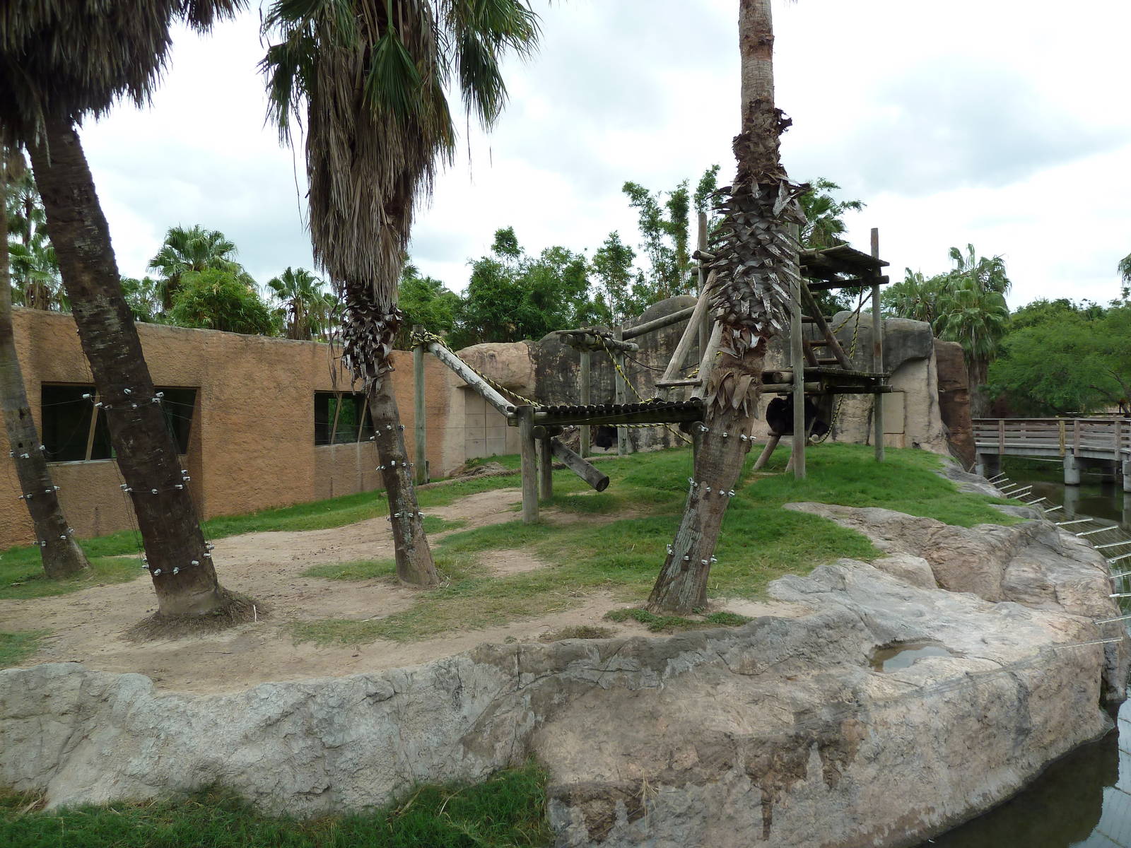 Chimpanzee Exhibit