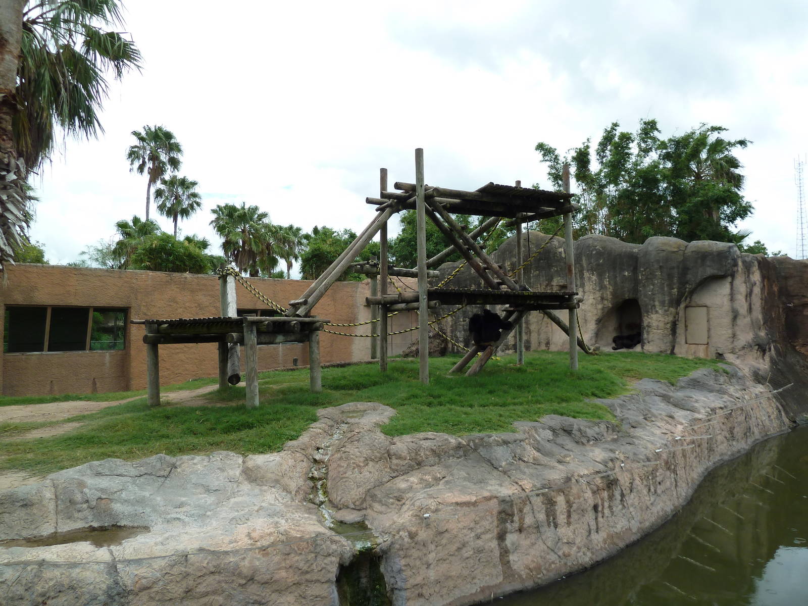 Chimpanzee Exhibit