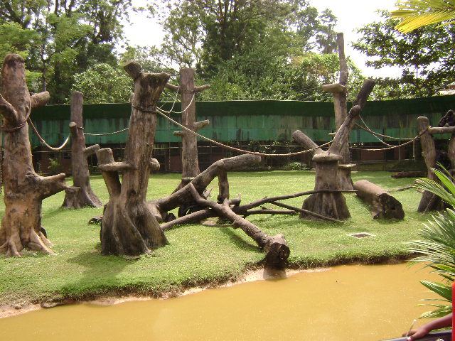 Chimpanzee Exhibit