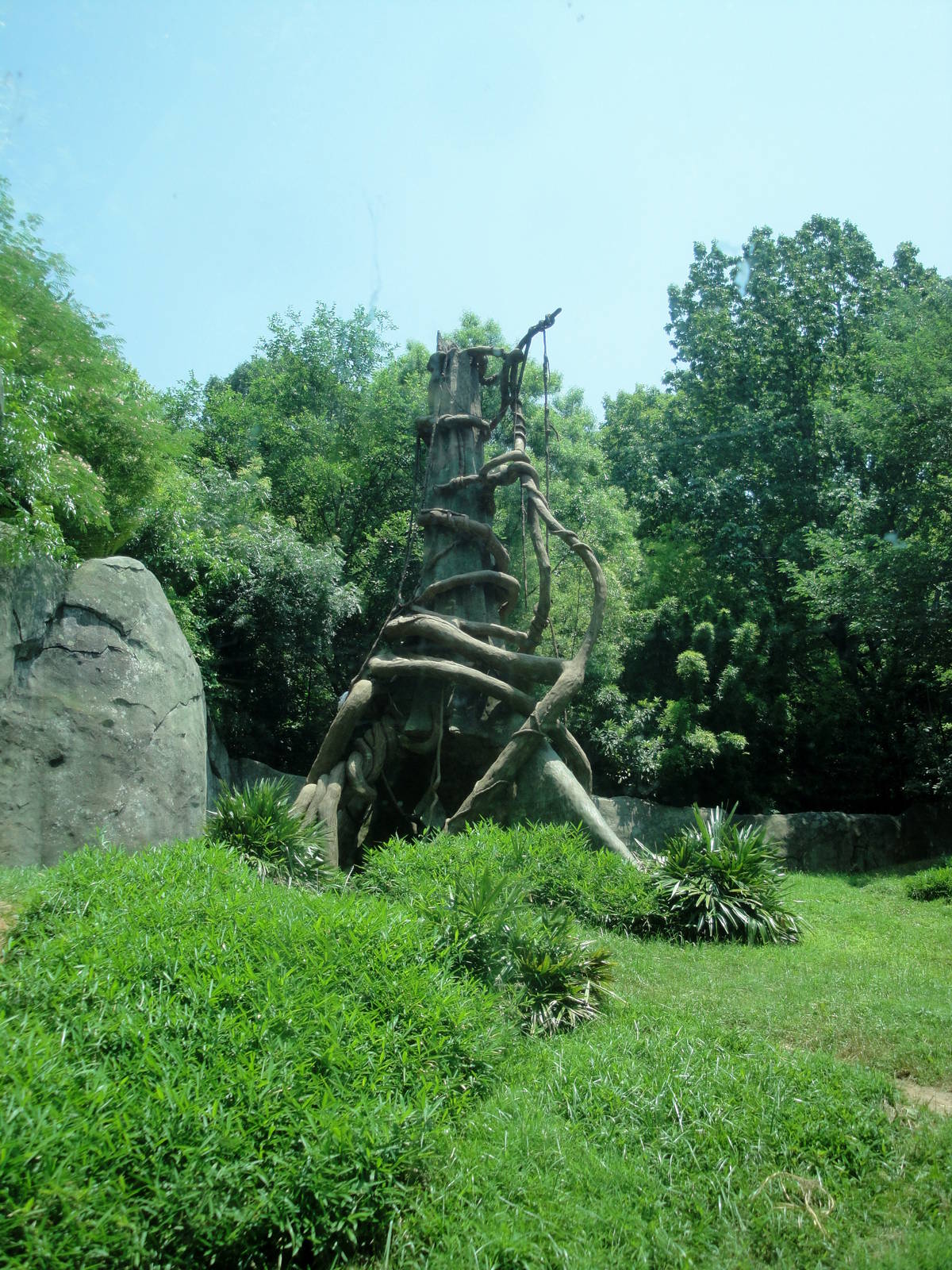 Chimpanzee Exhibit
