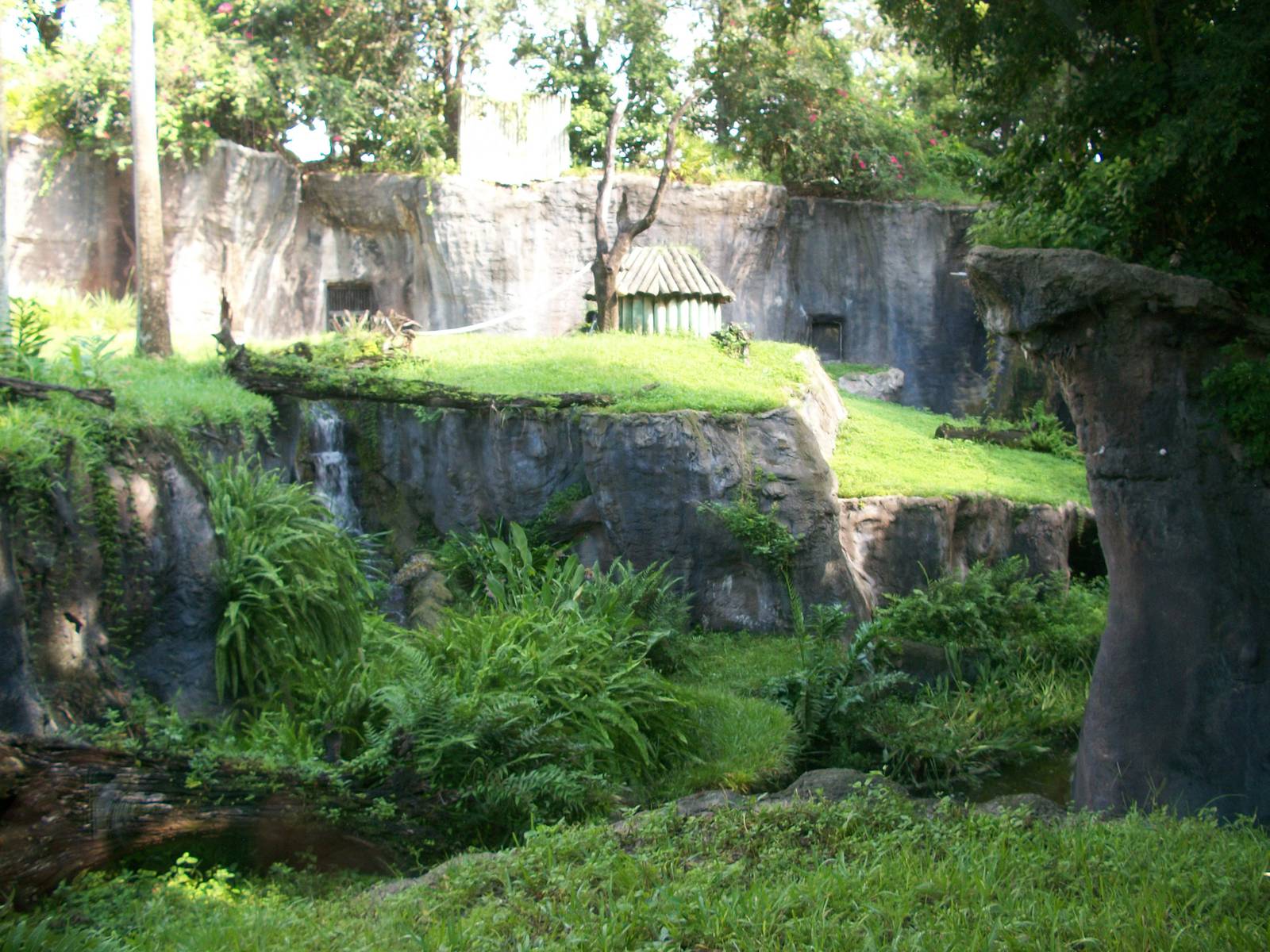 Chimpanzee Exhibit