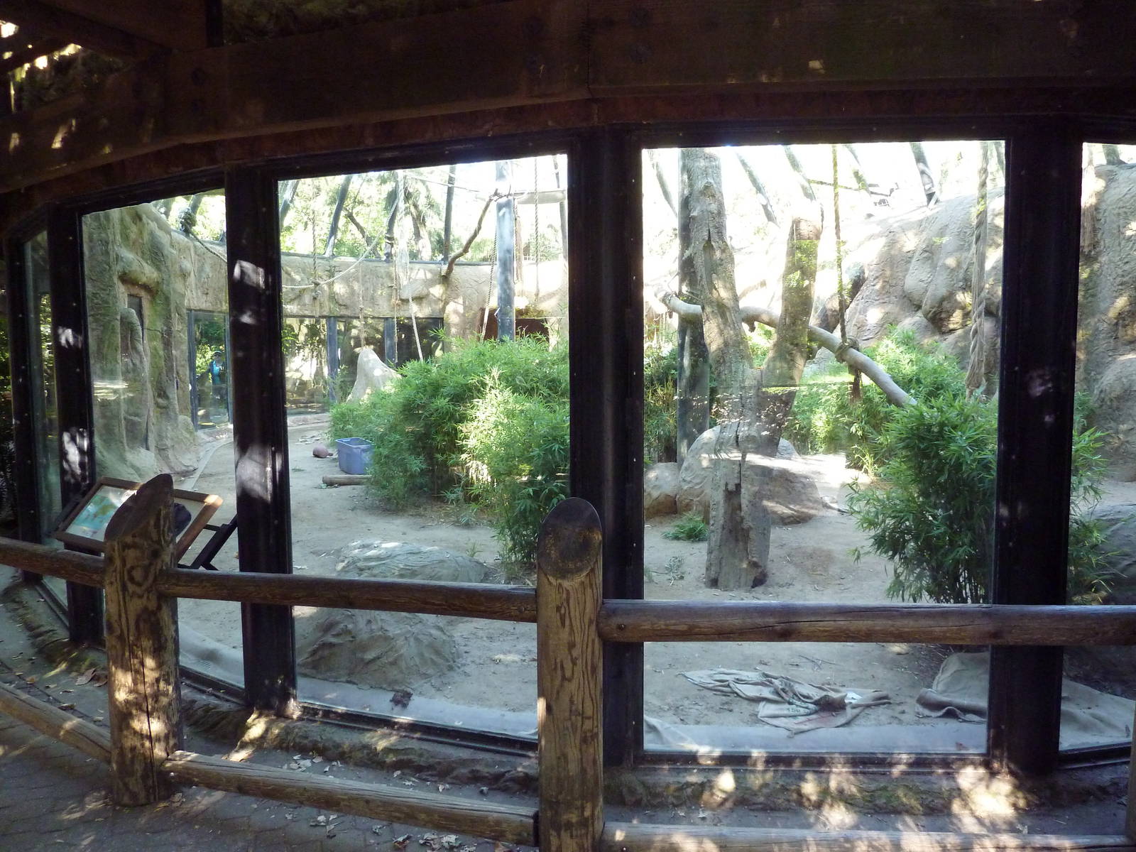 Chimpanzee Exhibit