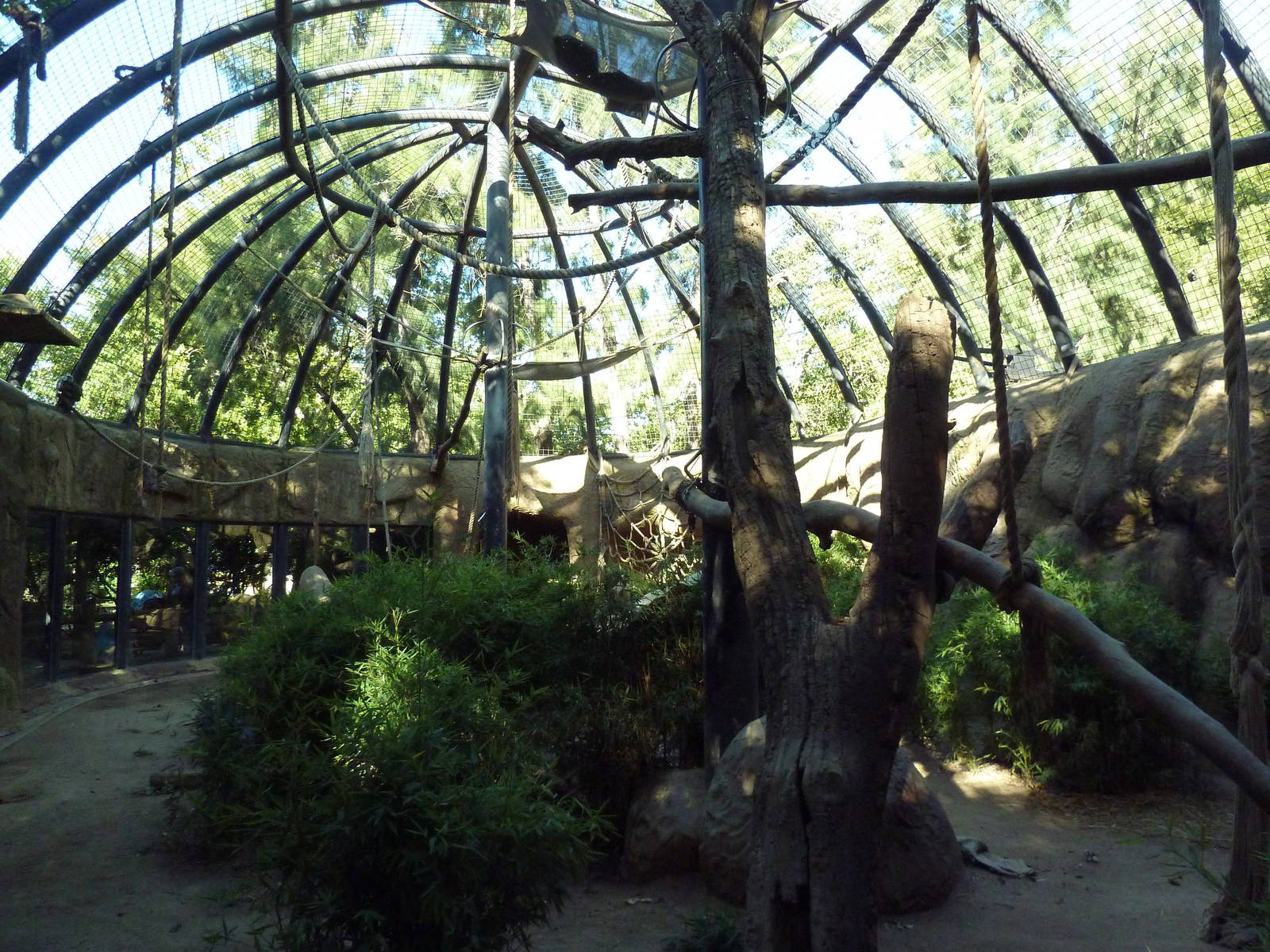Chimpanzee Exhibit