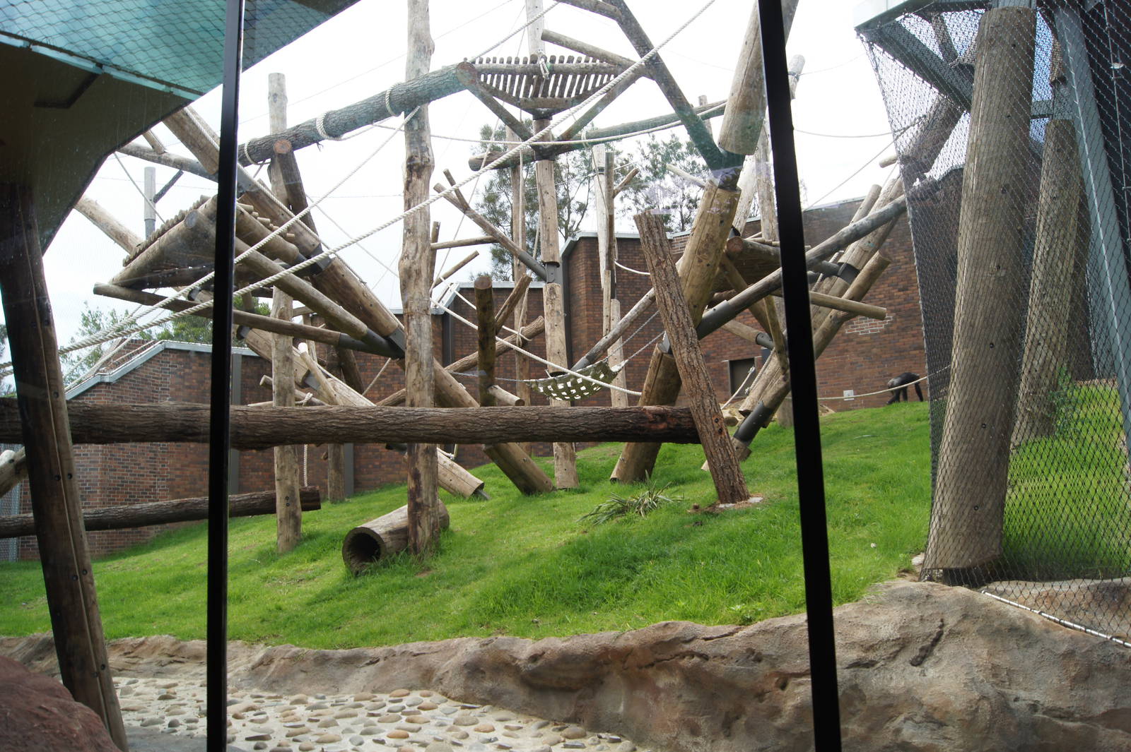 Chimpanzee Exhibit