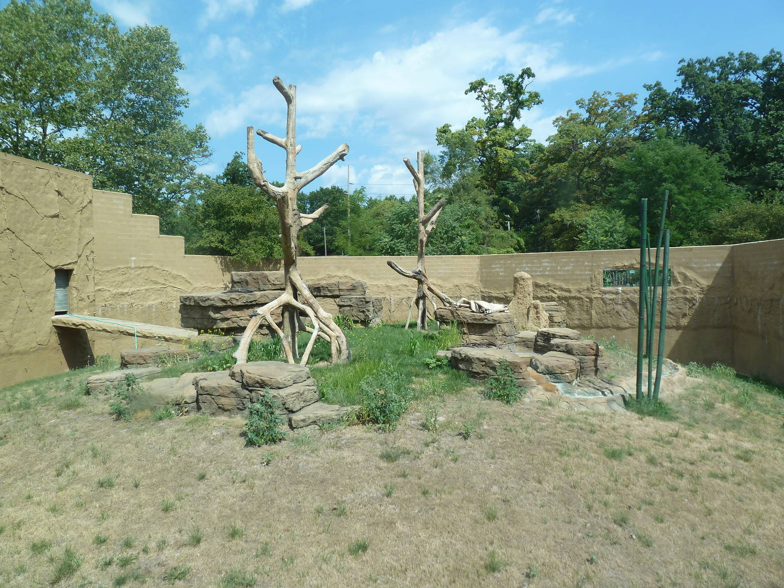 Chimpanzee Exhibit