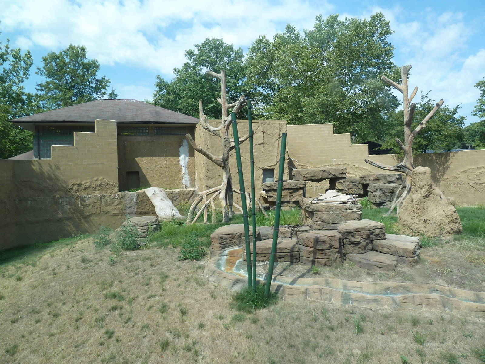 Chimpanzee Exhibit