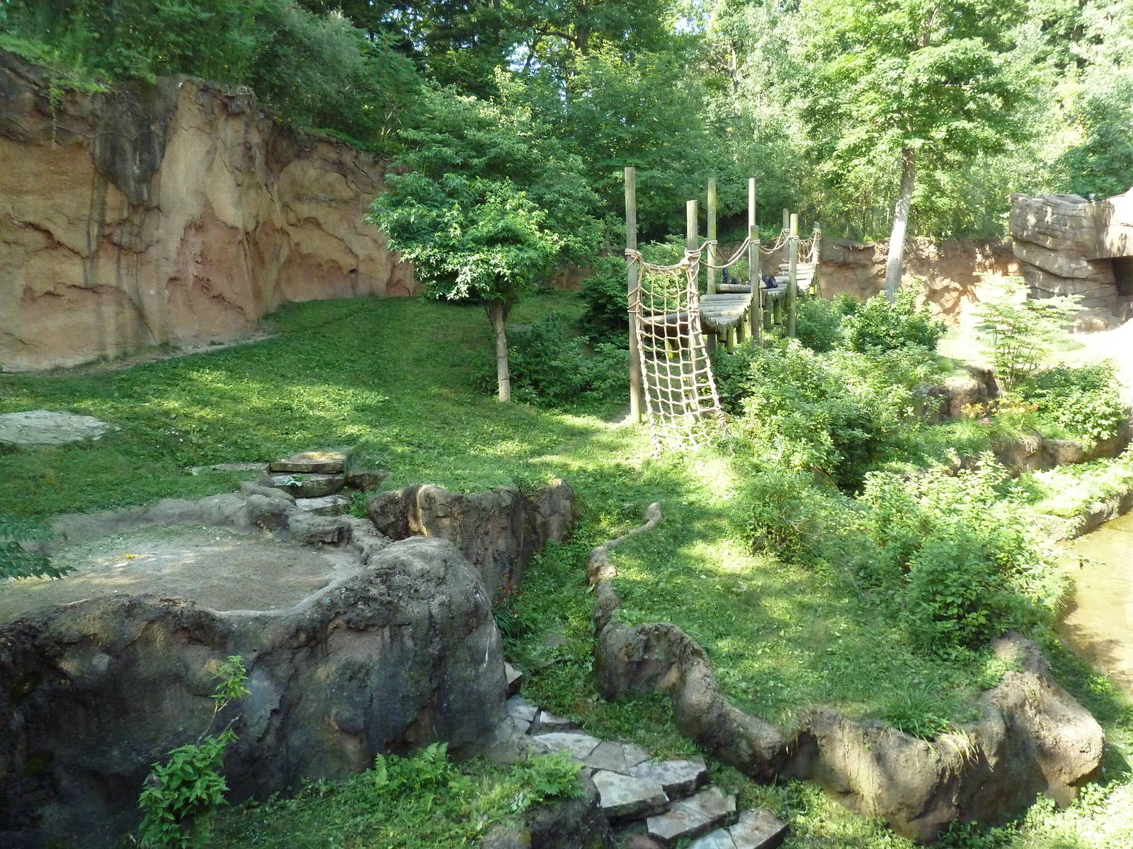 Chimpanzee Exhibit