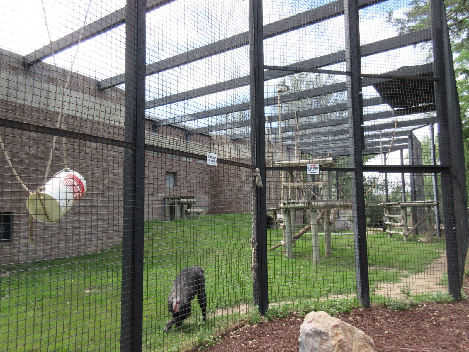 Chimpanzee Exhibit