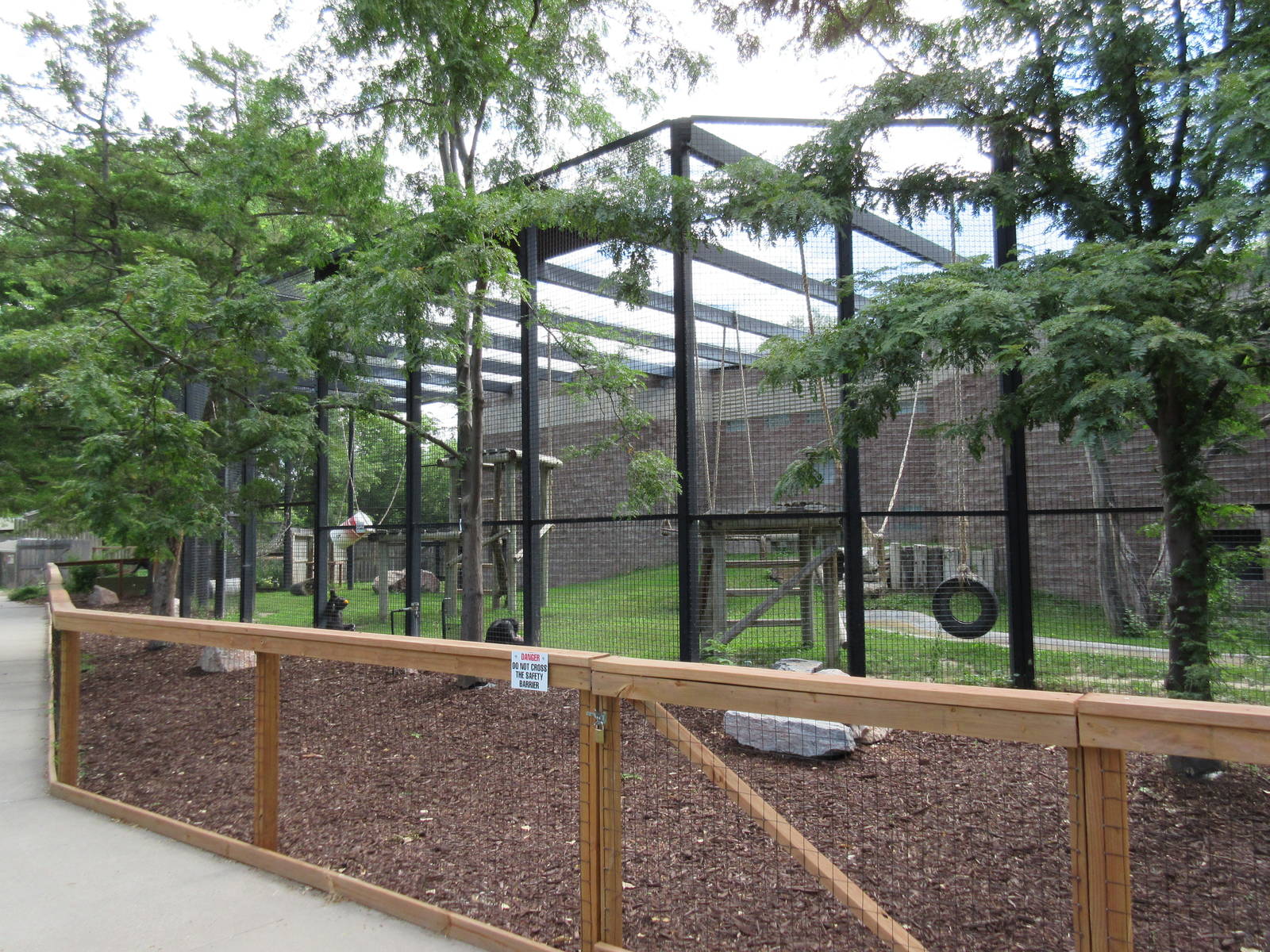 Chimpanzee Exhibit
