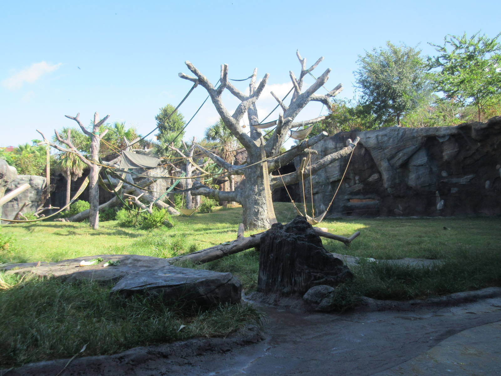 Chimpanzee Exhibit
