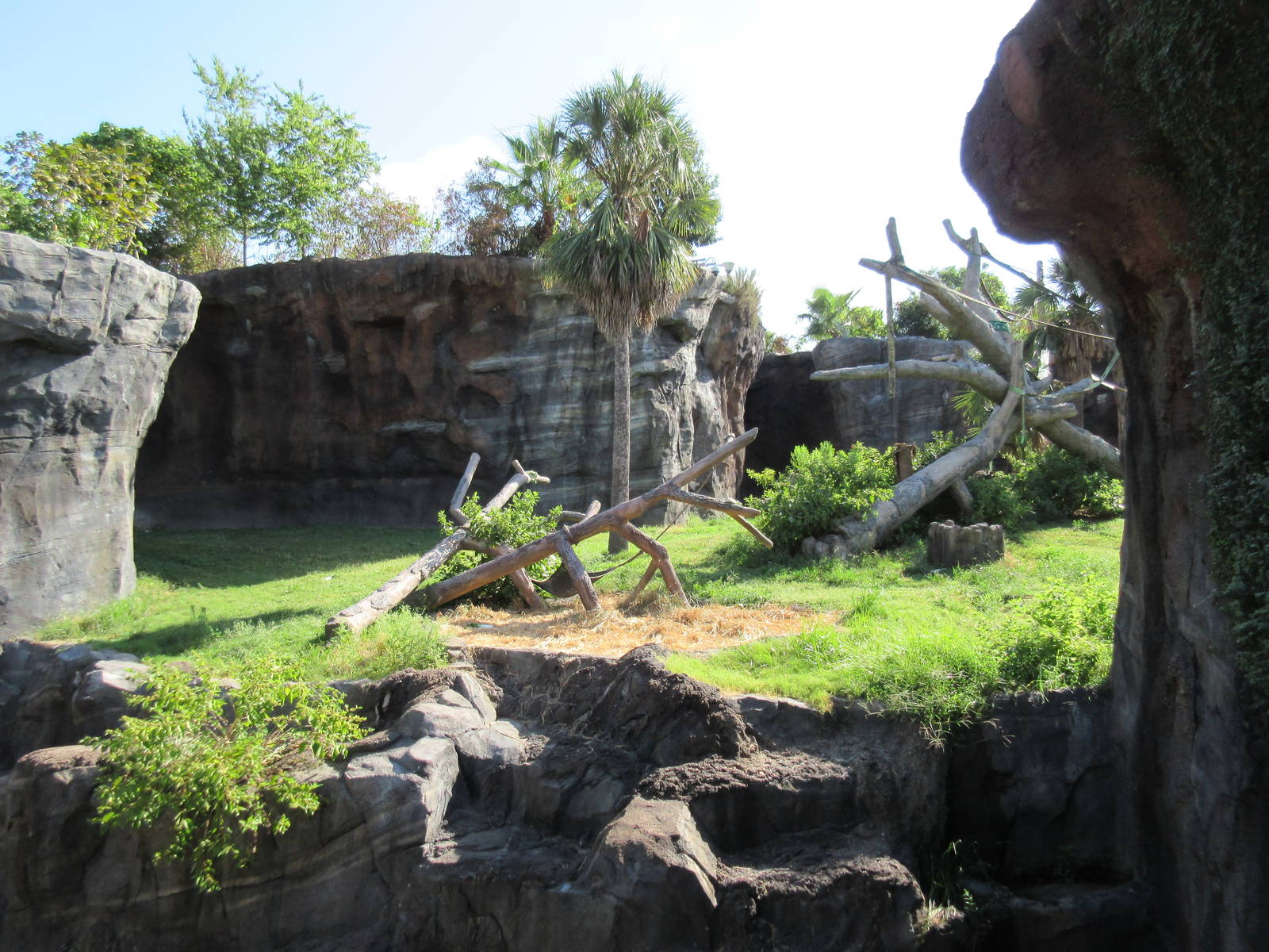 Chimpanzee Exhibit