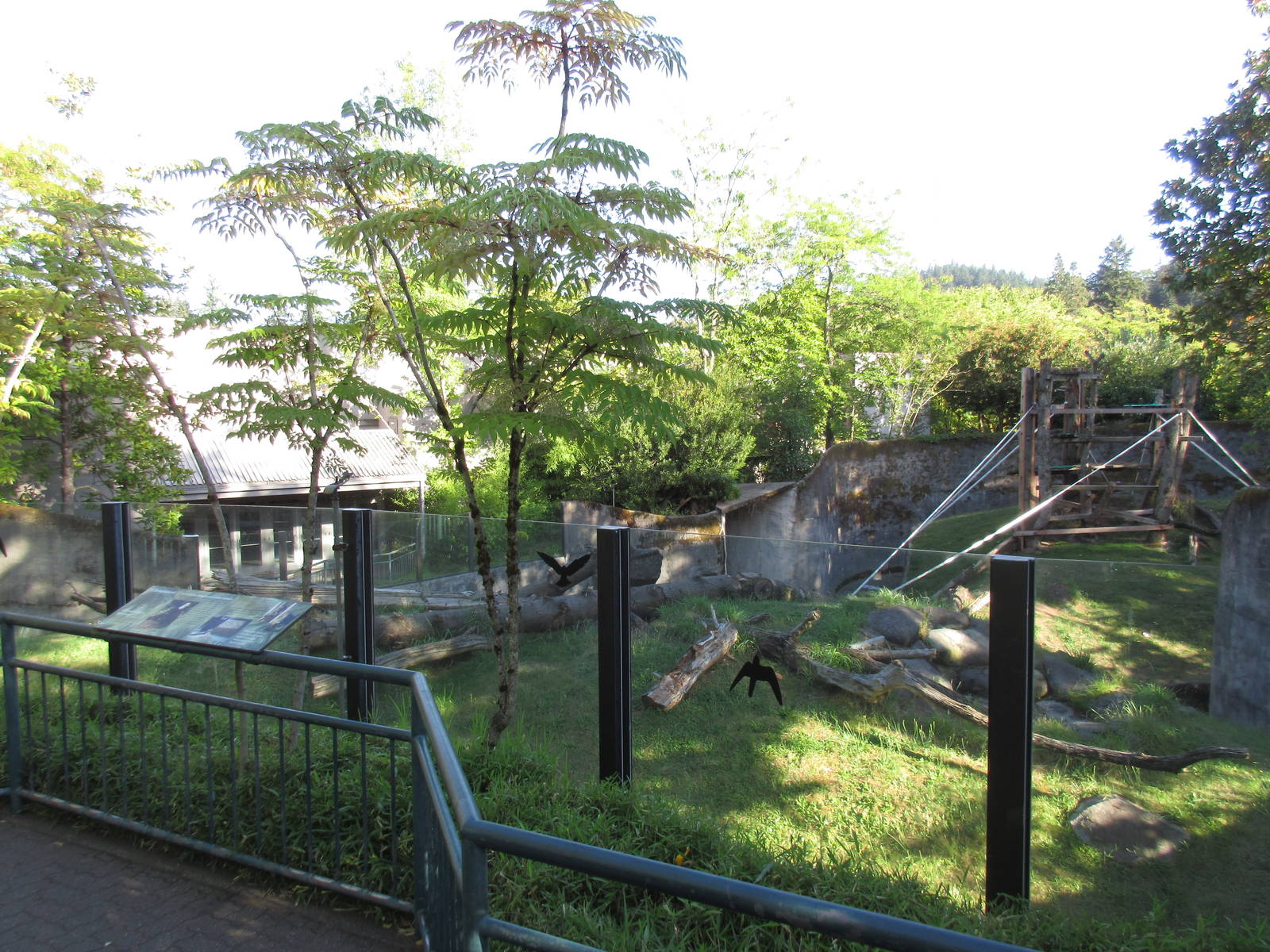 Chimpanzee Exhibit